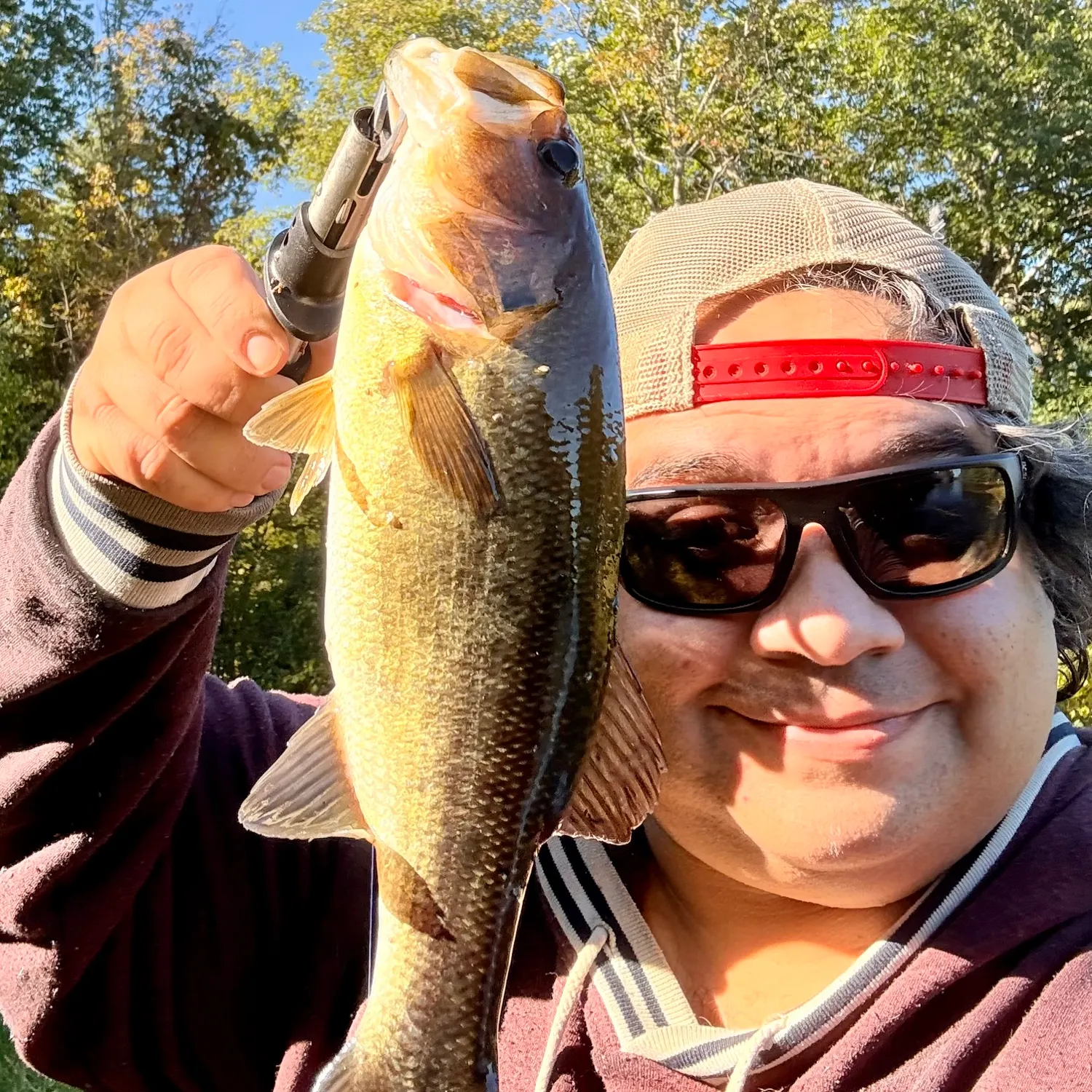 Largemouth bass caught on Fishbrain