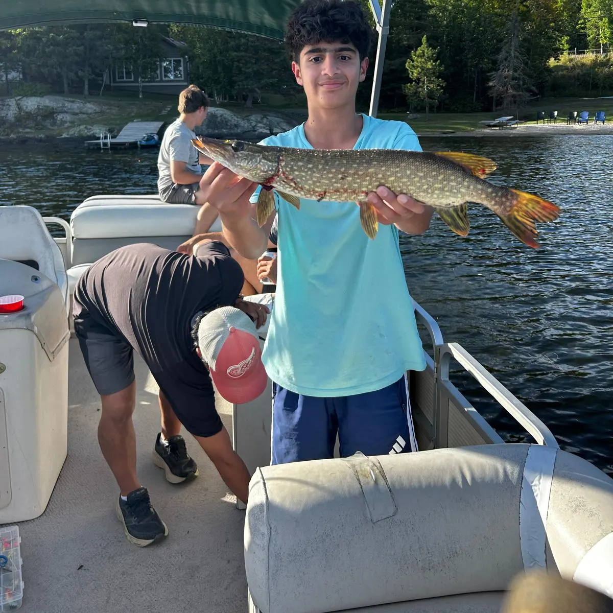 Northern pike caught on Fishbrain