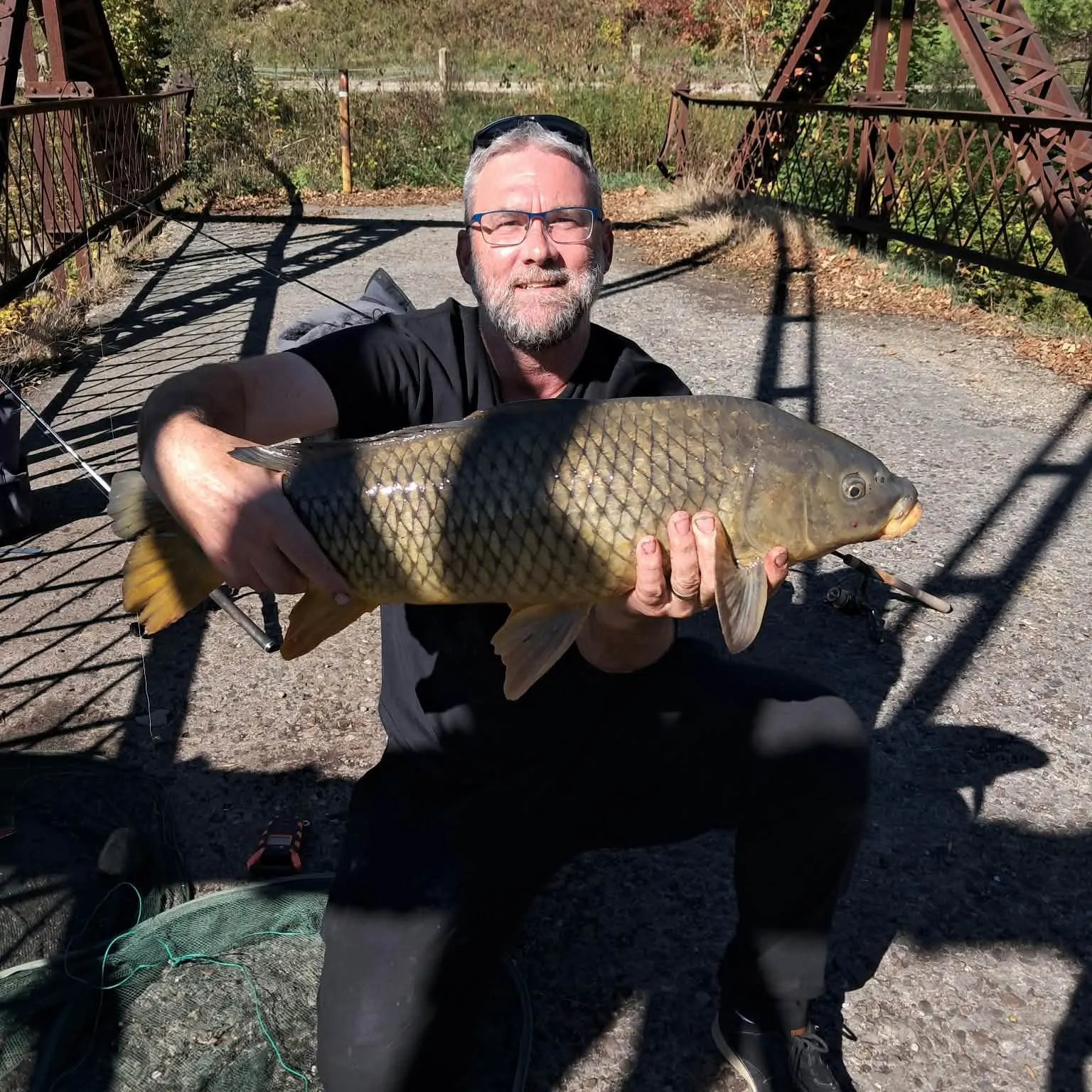 Common carp caught on Fishbrain