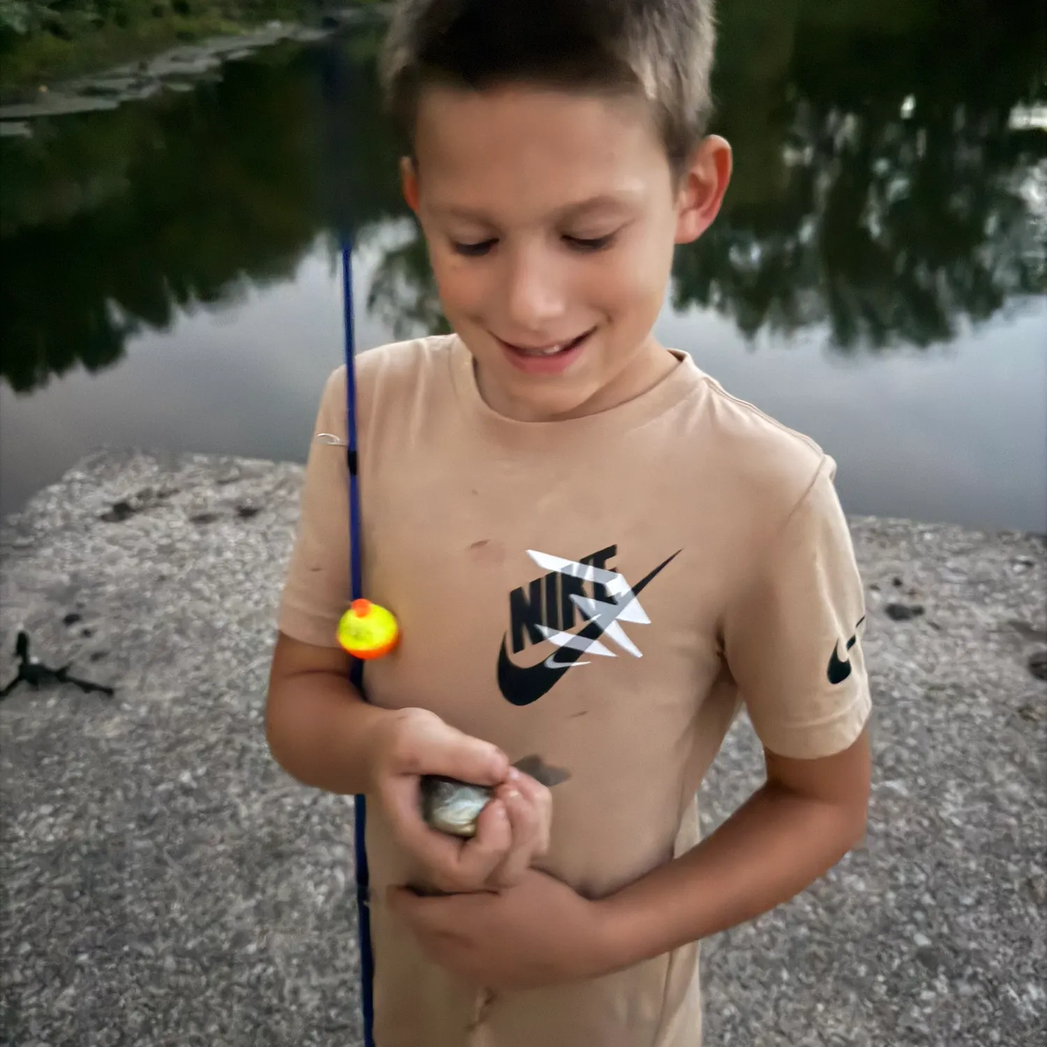 Bluegill caught on Fishbrain