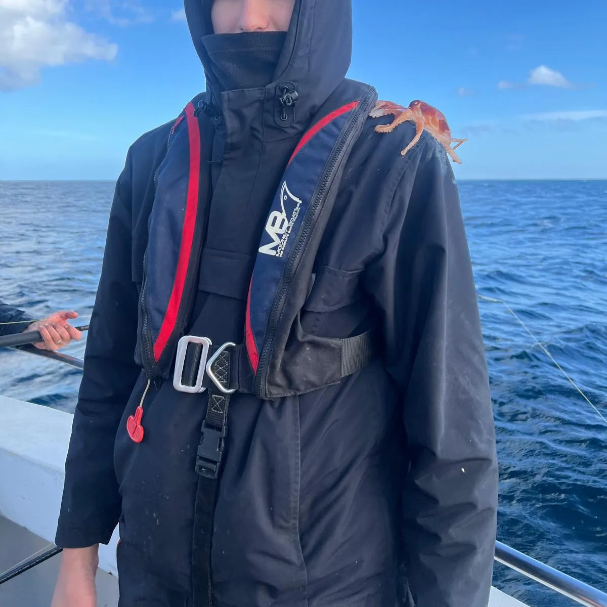 Southern calamari caught on Fishbrain