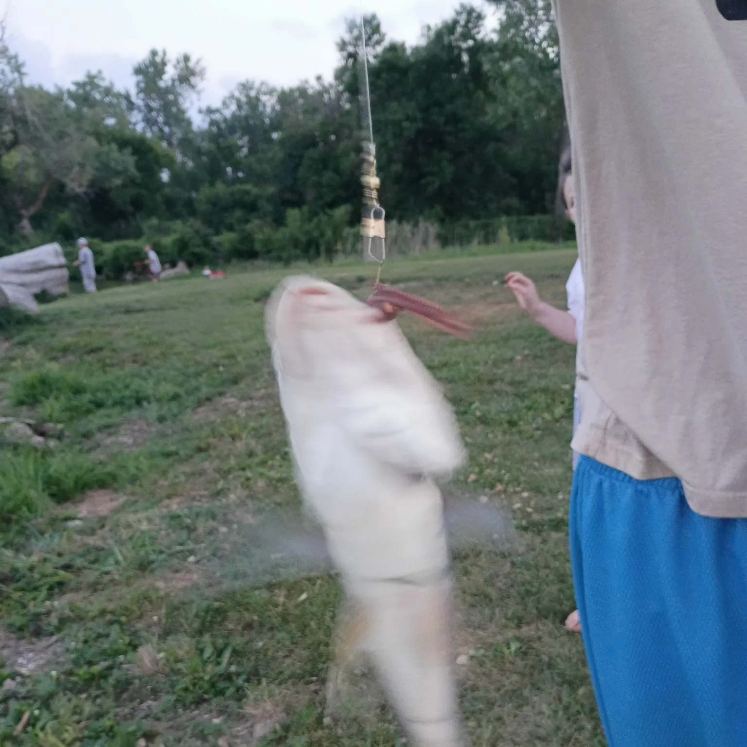 catch