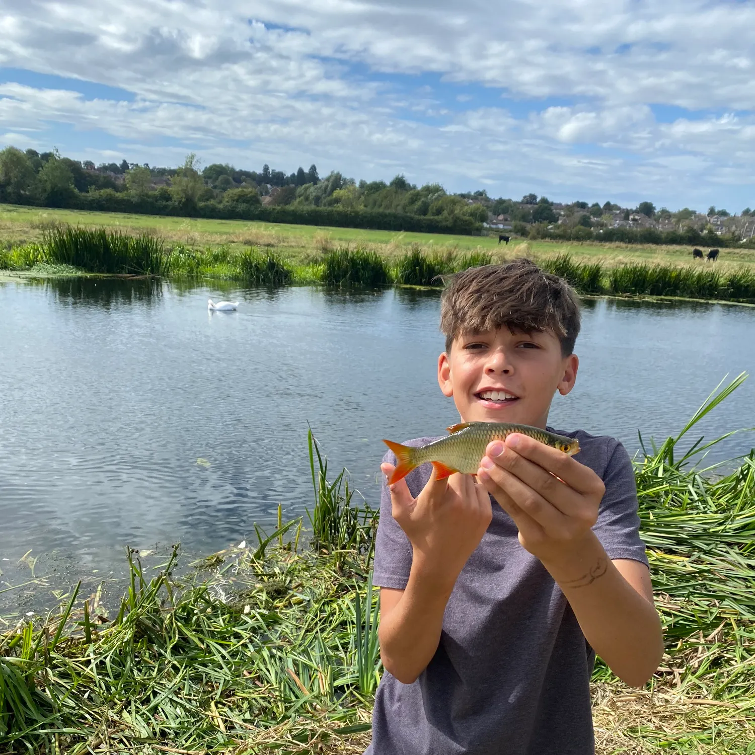 The most recent Common roach catches on Fishbrain