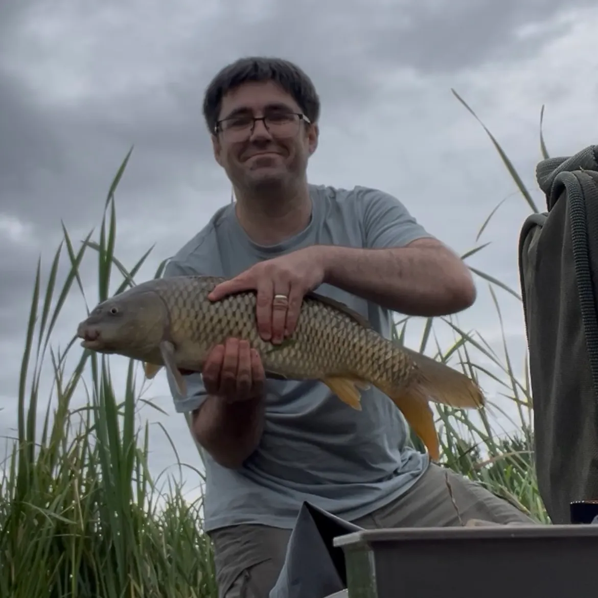 Common carp caught on Fishbrain