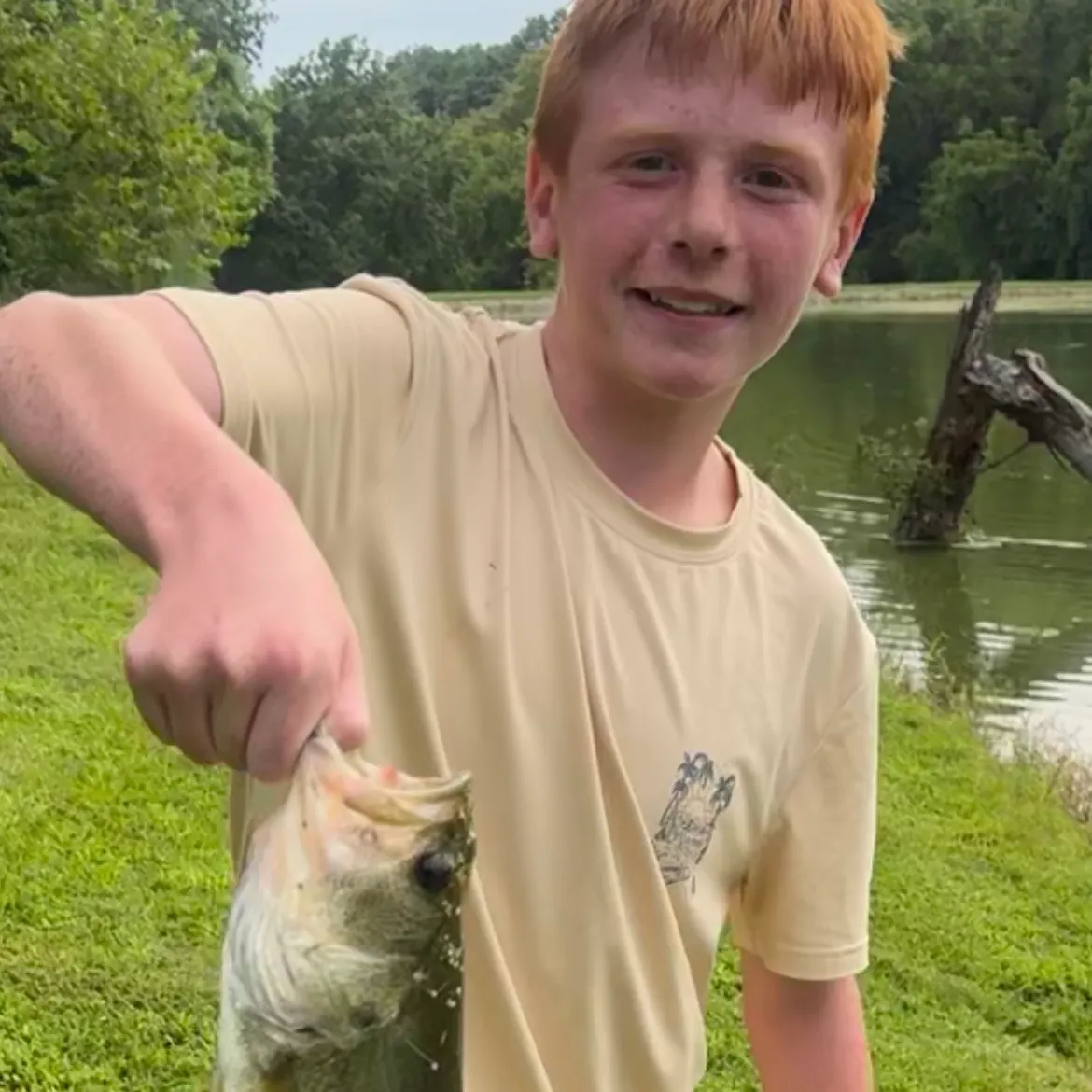 Largemouth bass caught on Fishbrain