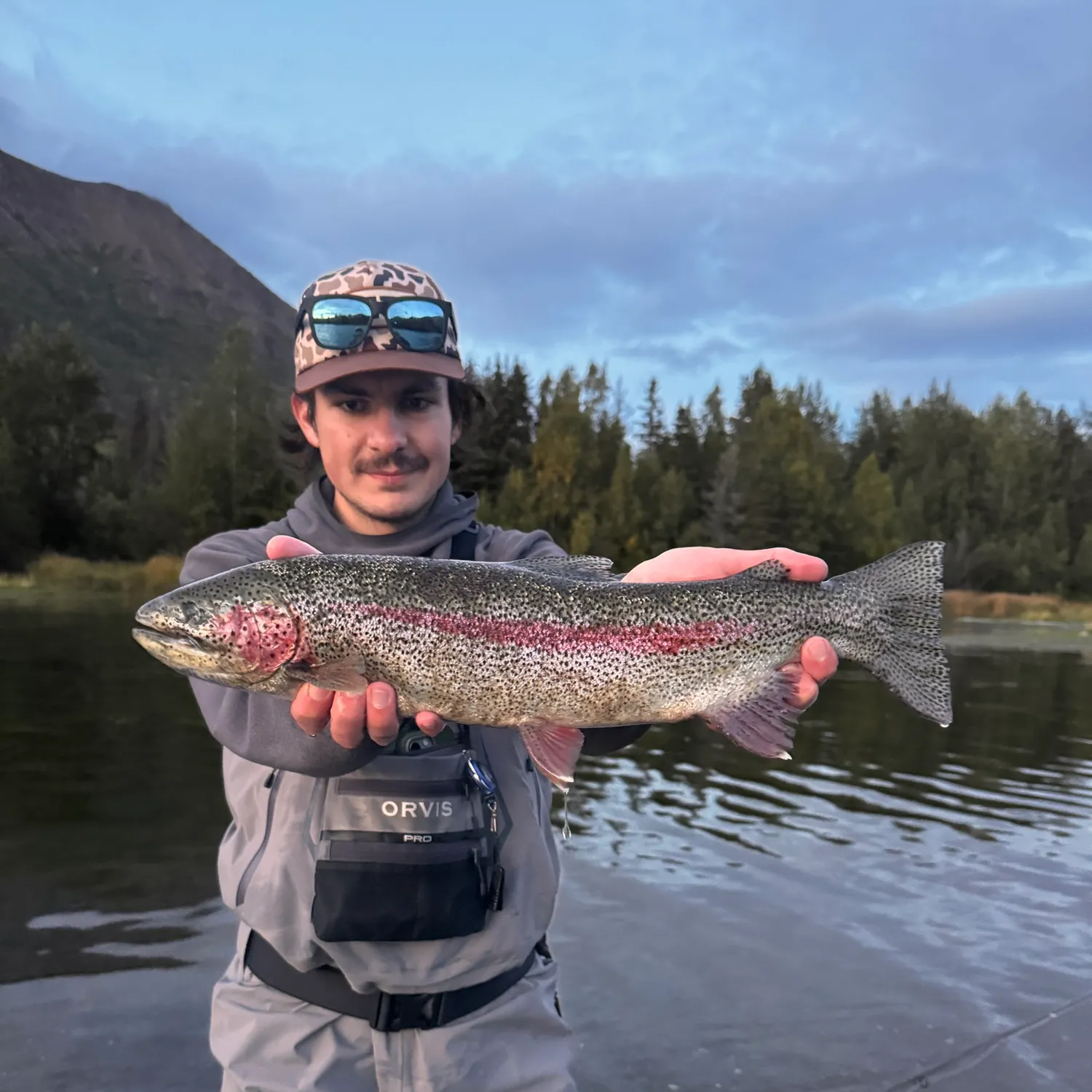 Rainbow trout caught on Fishbrain