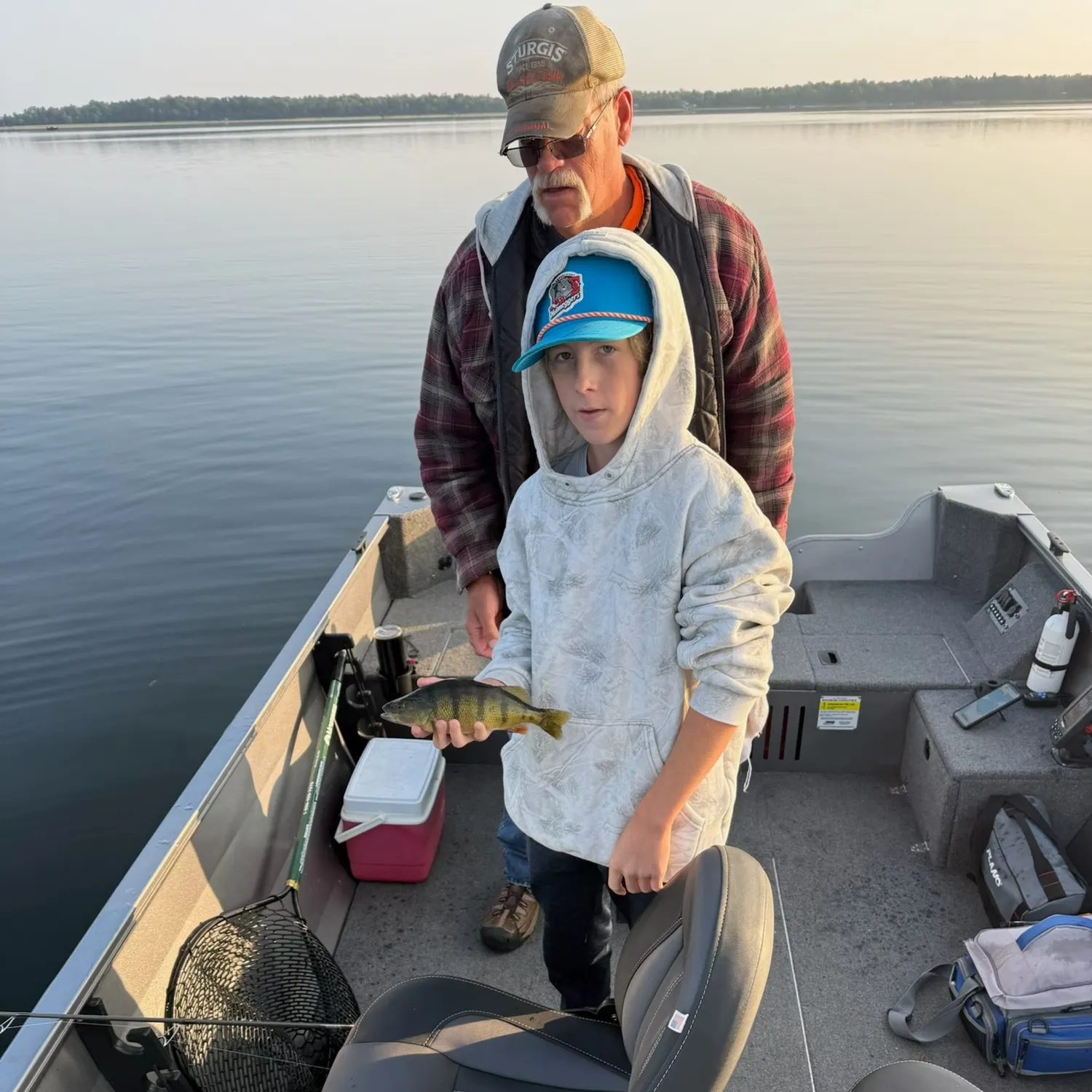 Yellow perch caught on Fishbrain