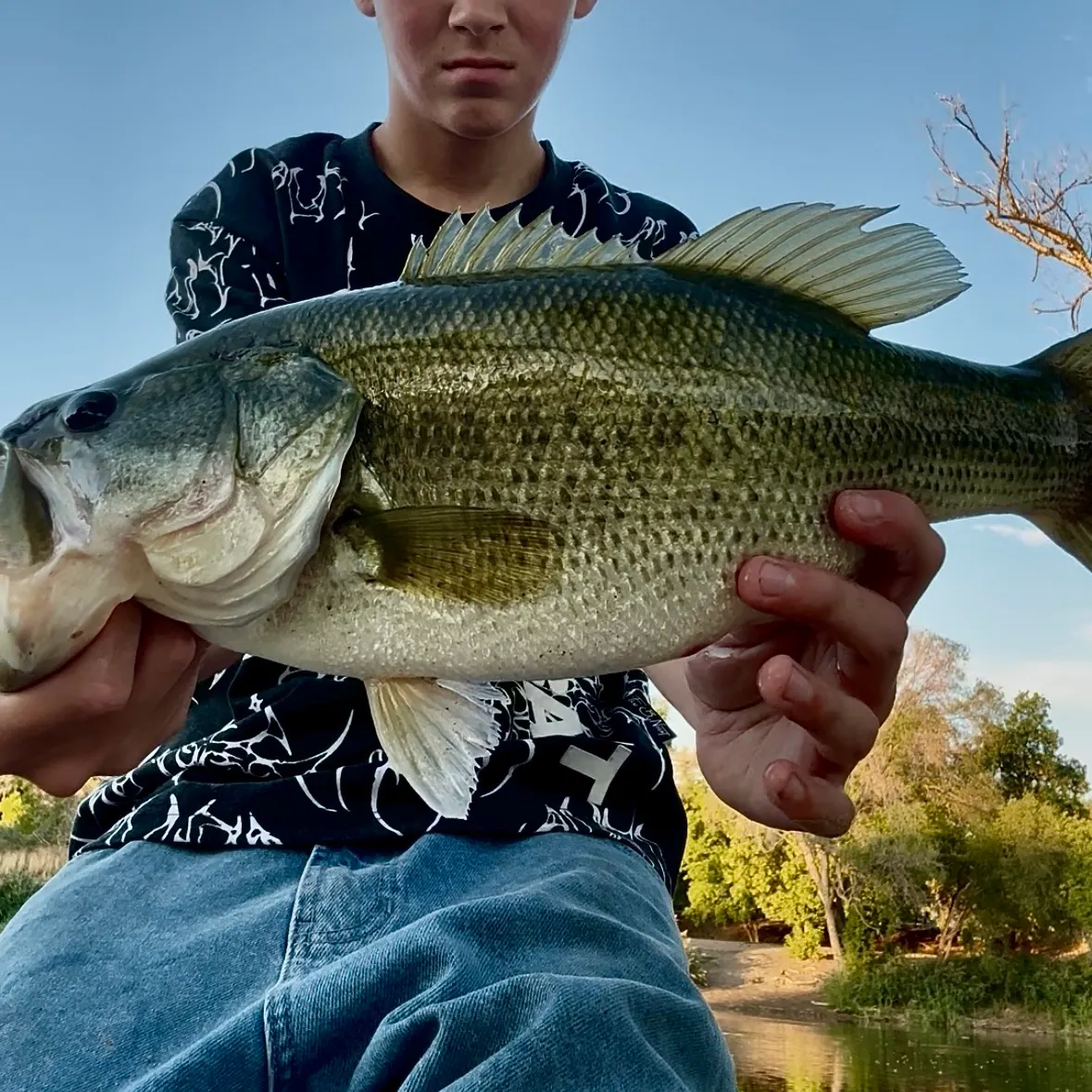 Largemouth bass caught on Fishbrain
