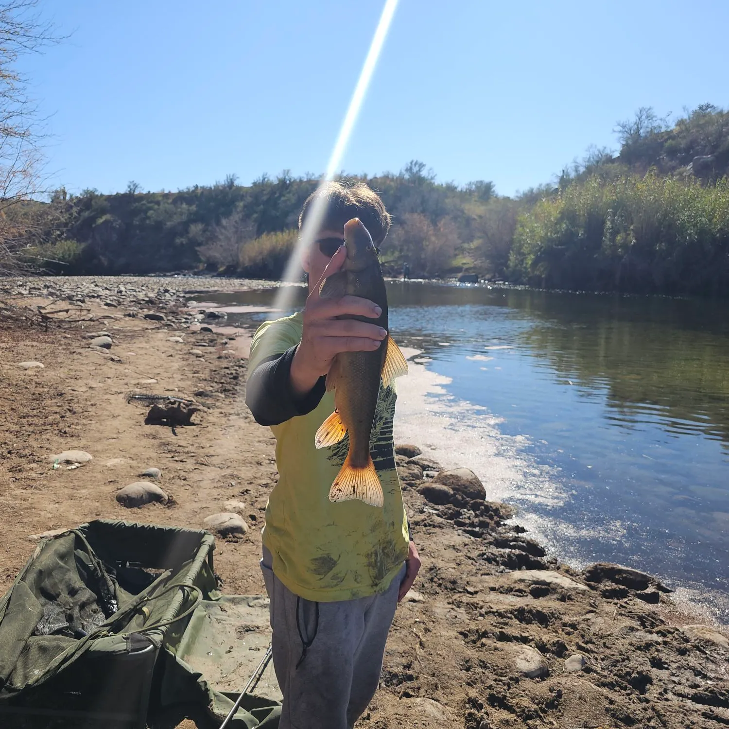 The most recent Desert sucker catches on Fishbrain