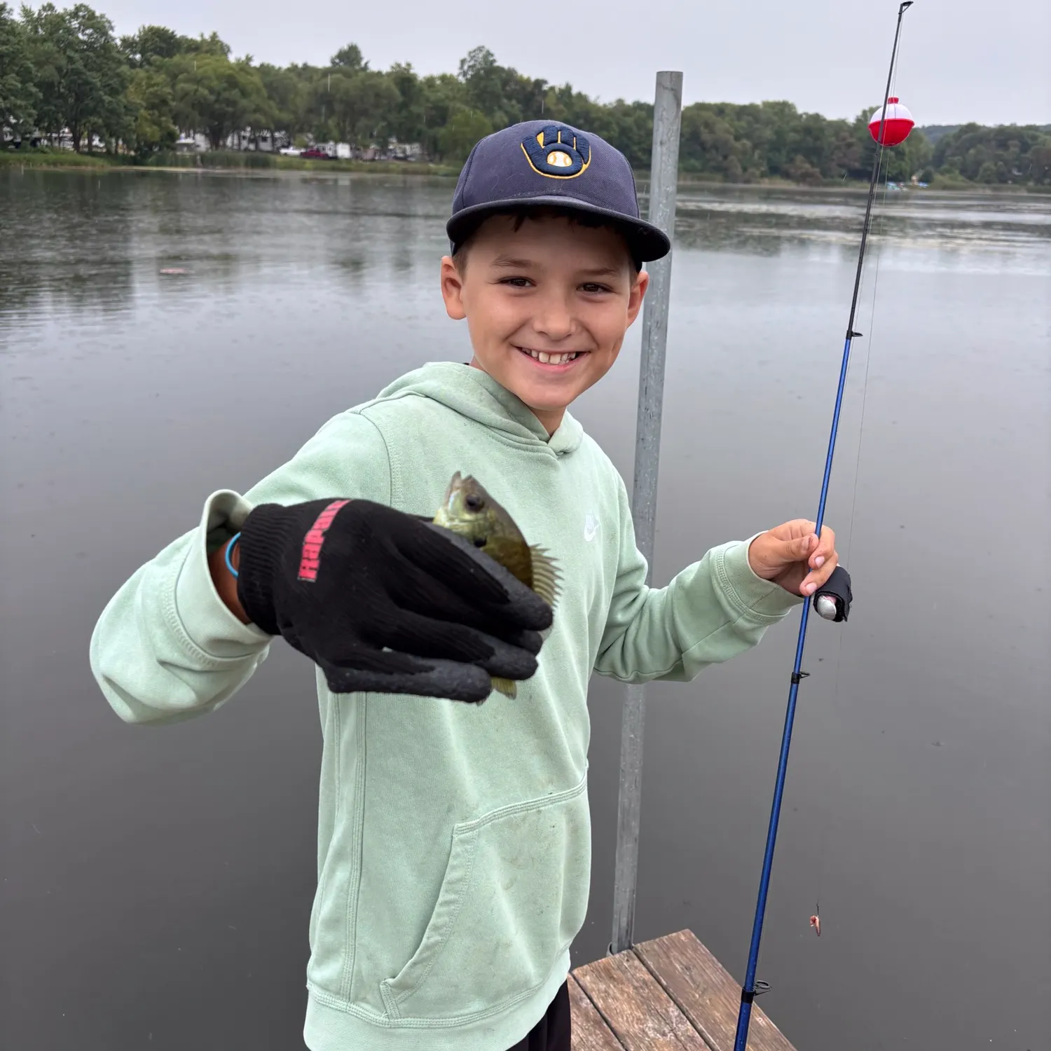 Bluegill caught on Fishbrain