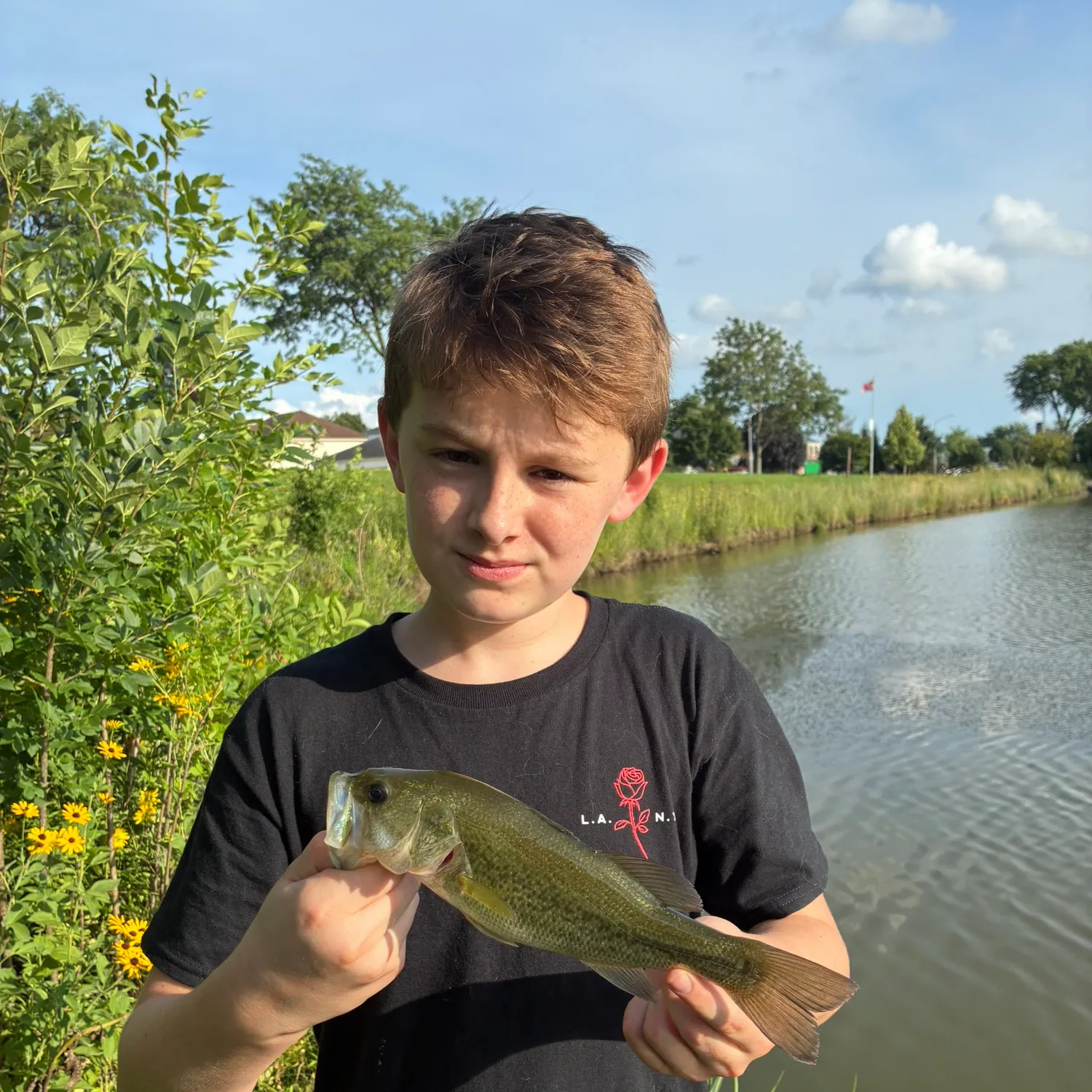 Largemouth bass caught on Fishbrain