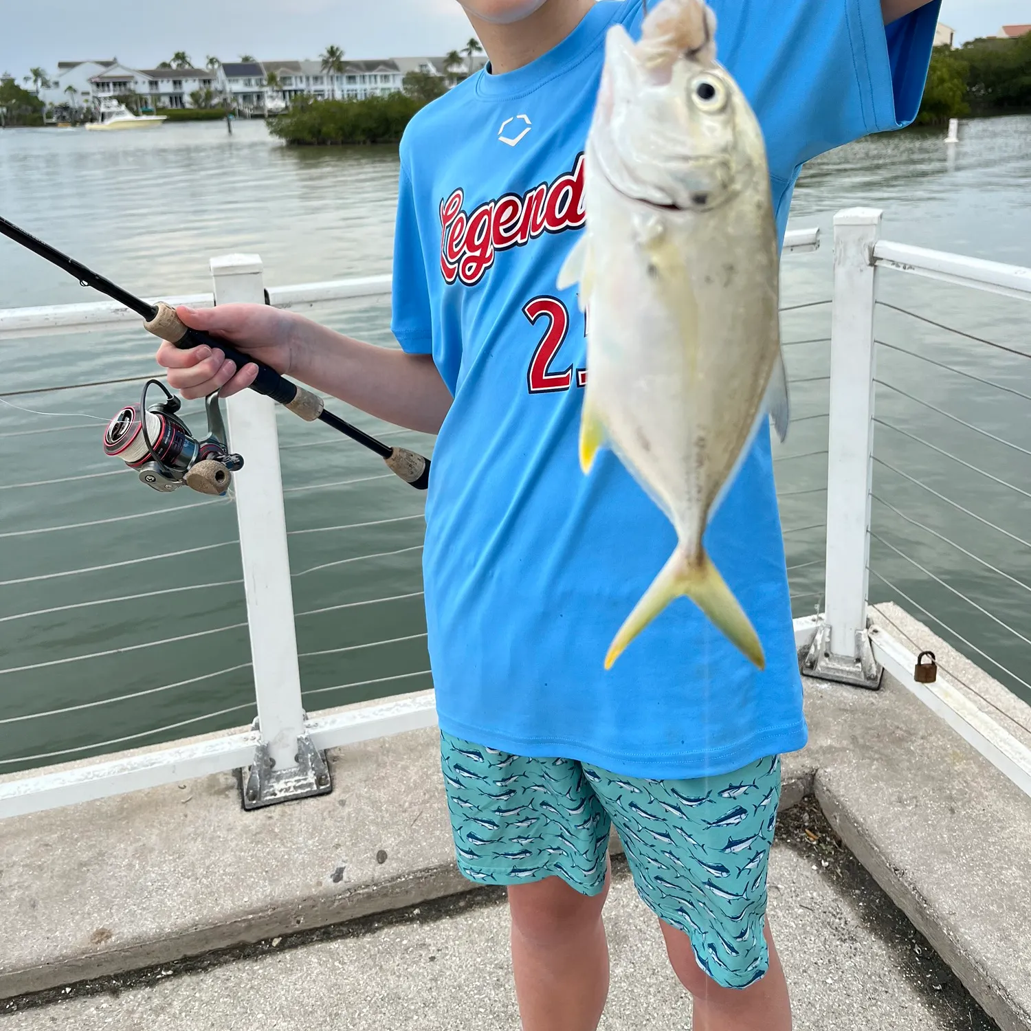 The most recent Crevalle jack catches on Fishbrain