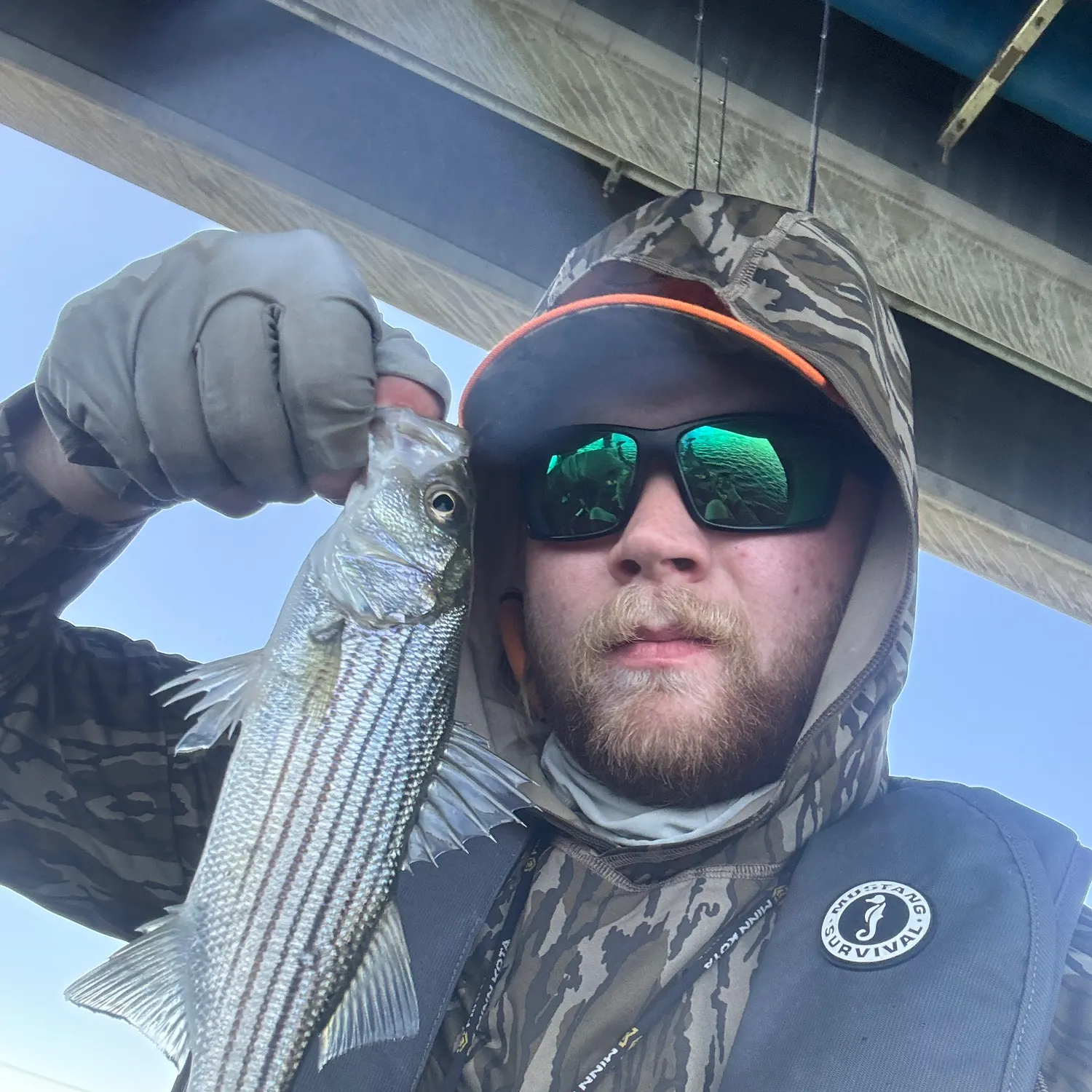 Striped bass caught on Fishbrain