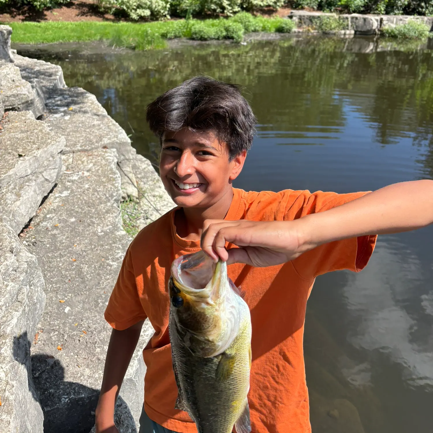 Largemouth bass caught on Fishbrain