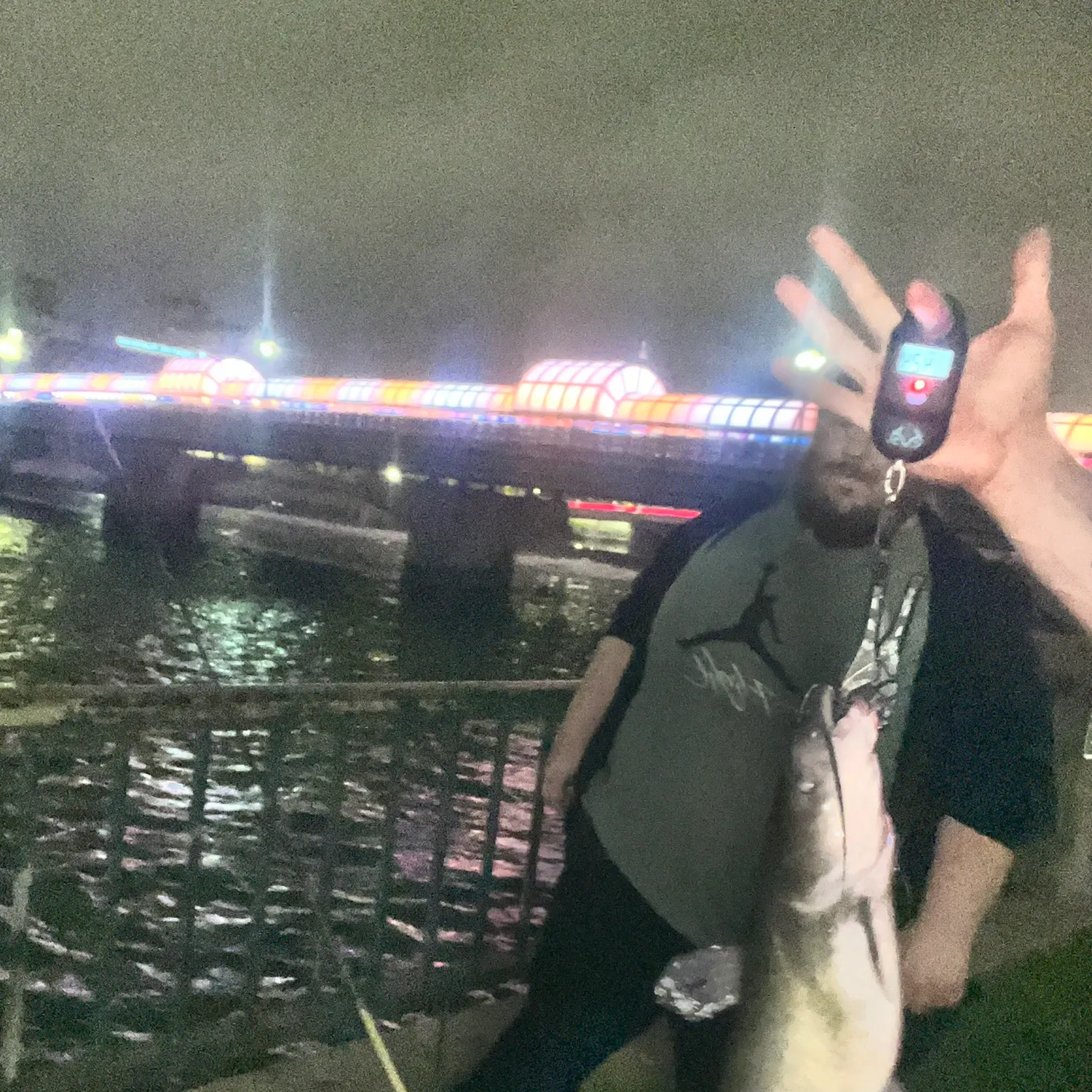 Channel catfish caught on Fishbrain