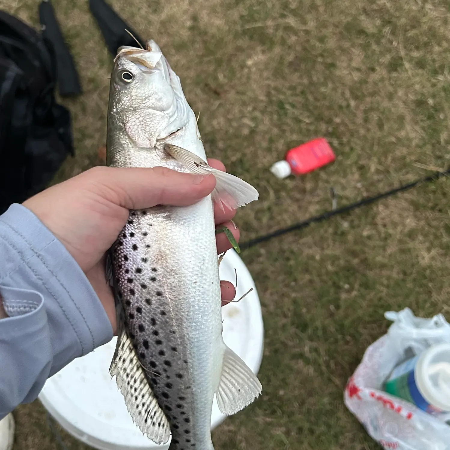 catch