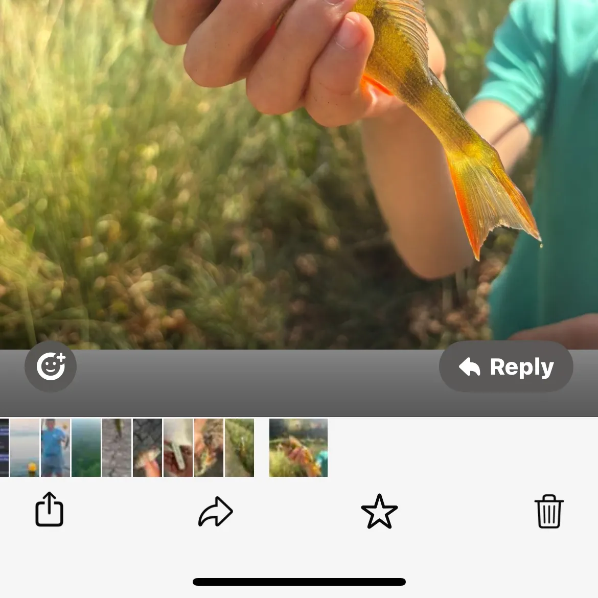 recently logged catches