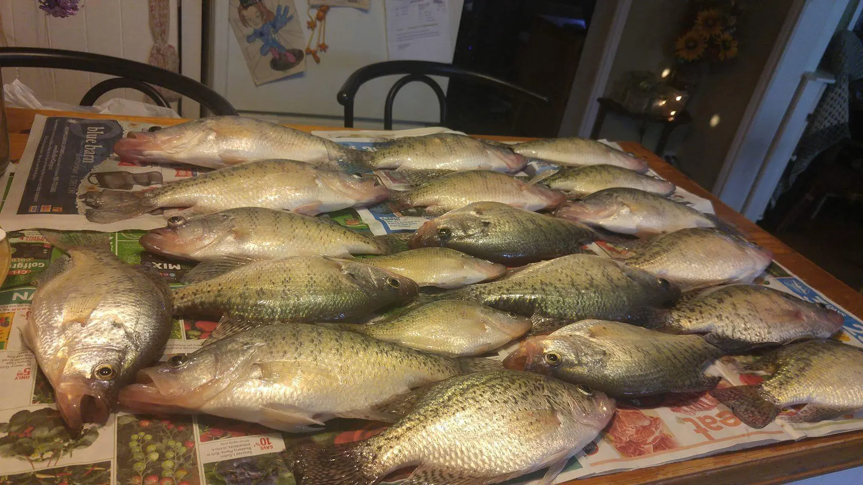 Post image from ambercowell