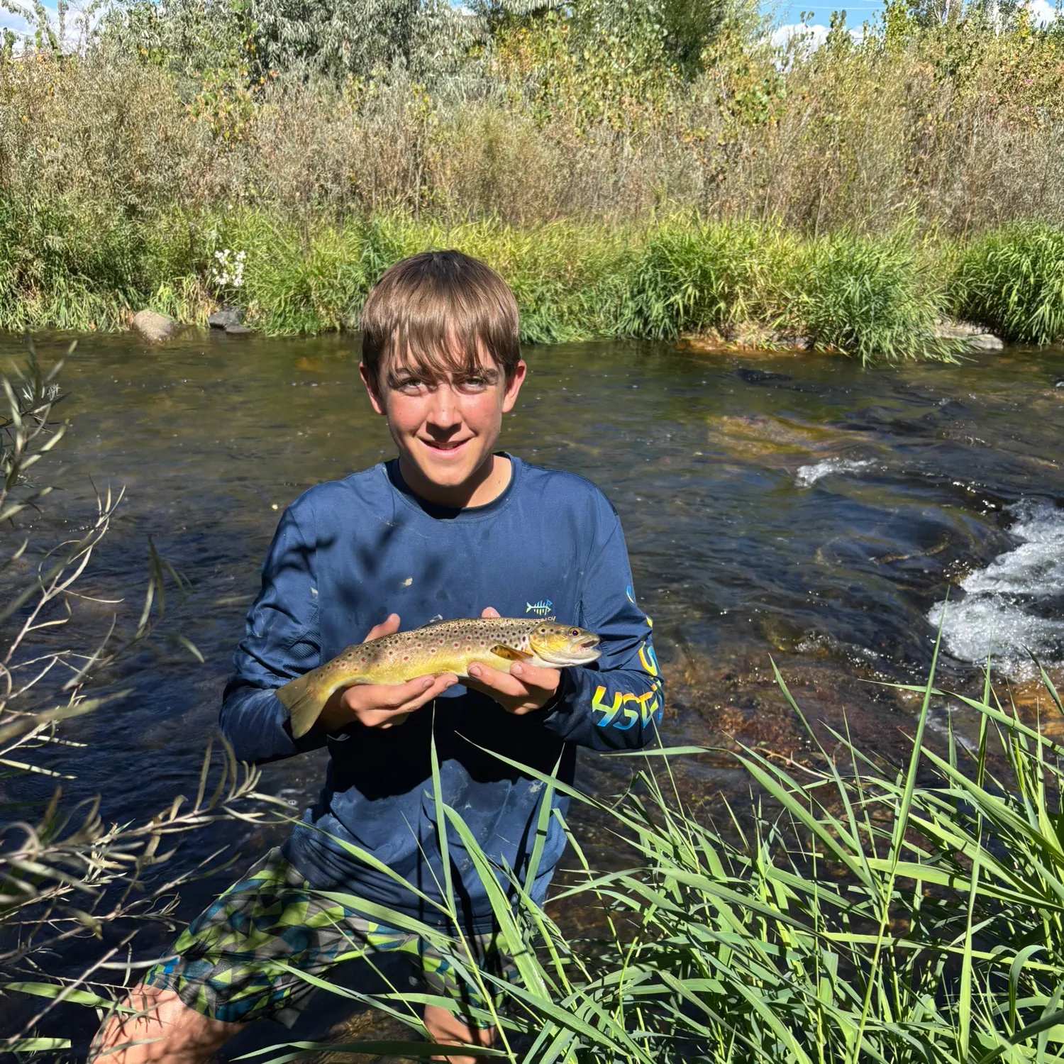 Brown trout caught on Fishbrain