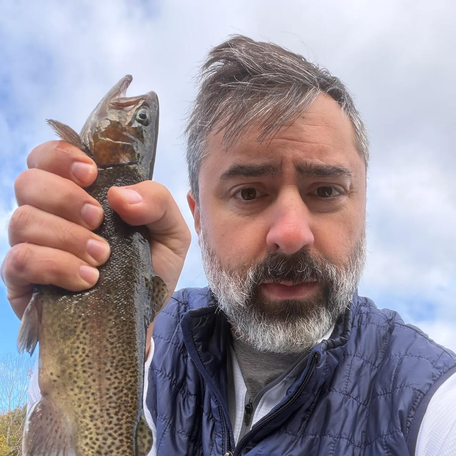 Rainbow trout caught on Fishbrain