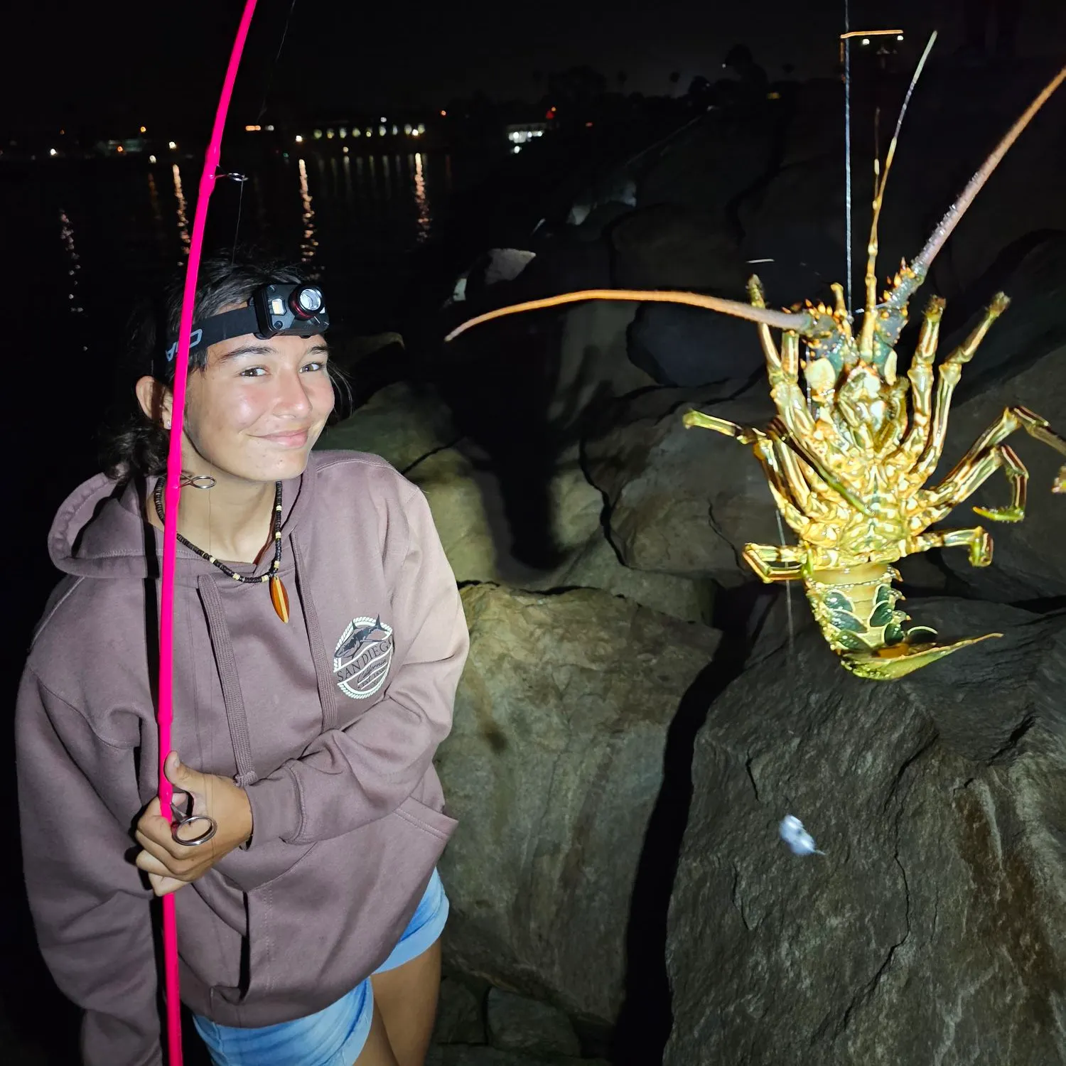 The most recent Green spiny lobster catches on Fishbrain