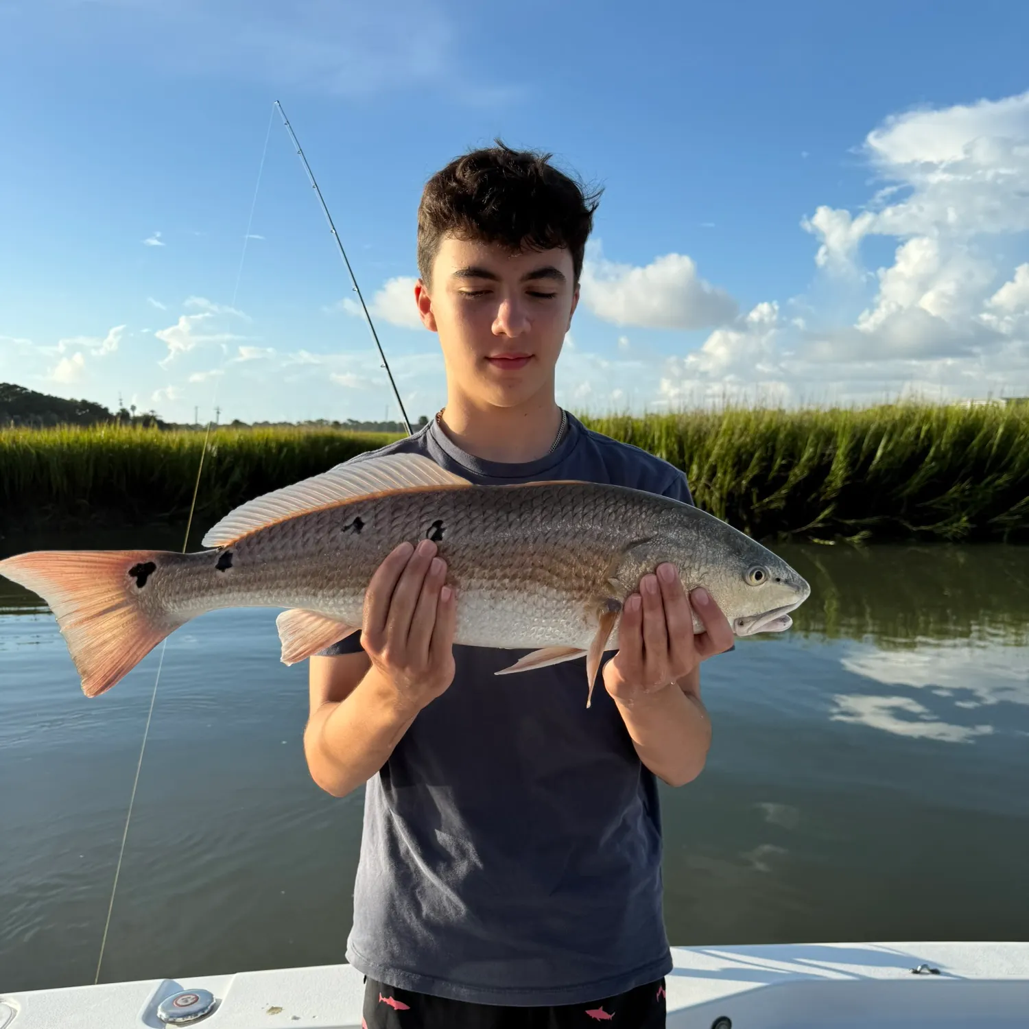 The most recent Red drum catches on Fishbrain