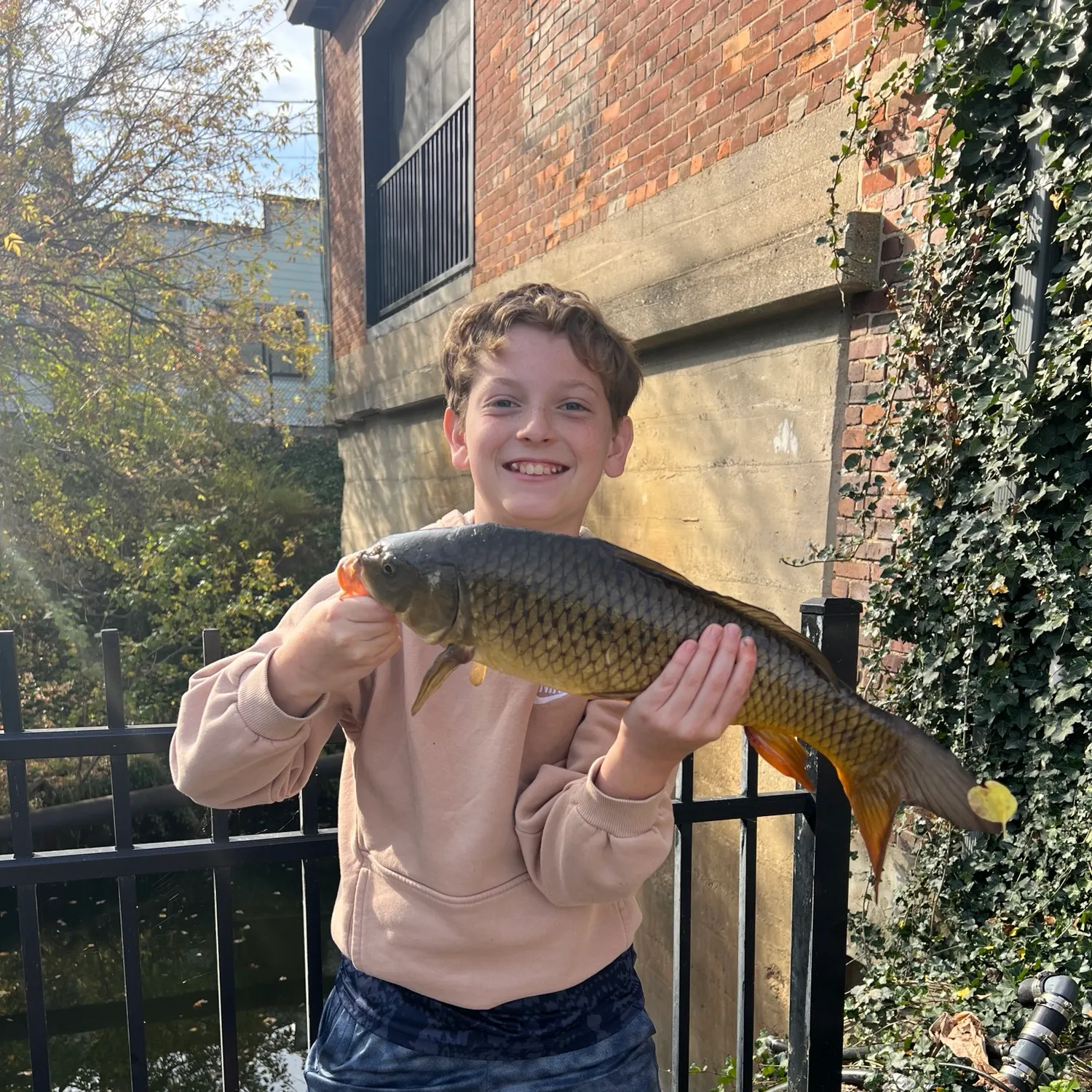 Common carp caught on Fishbrain
