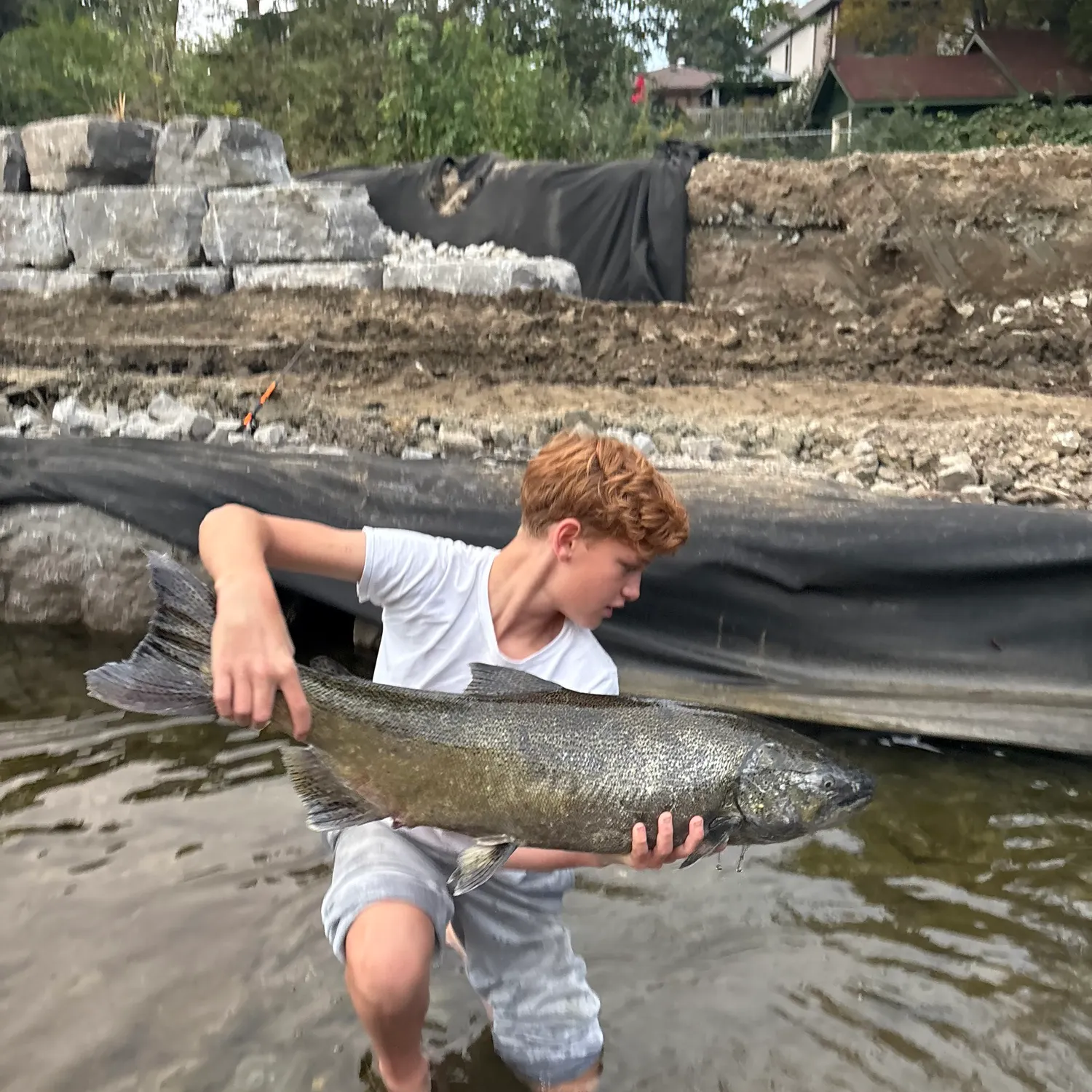 Chinook salmon caught on Fishbrain