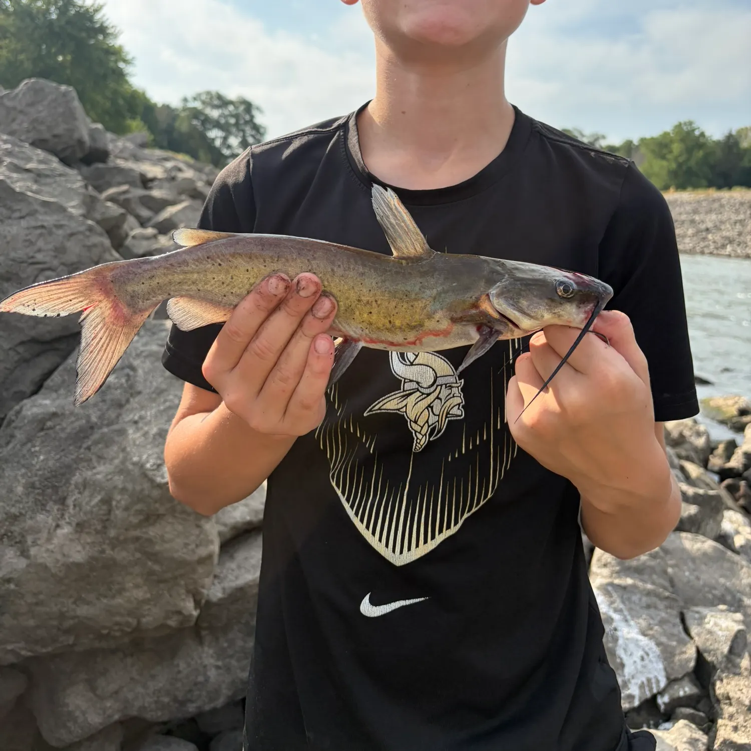 Channel catfish caught on Fishbrain