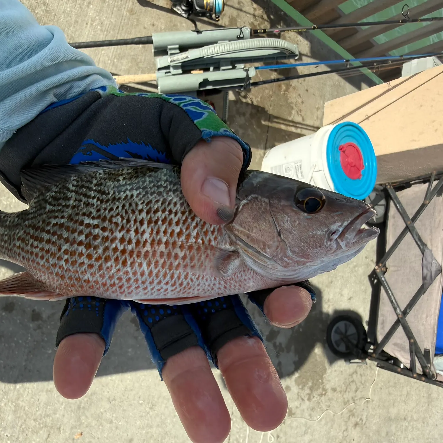catch