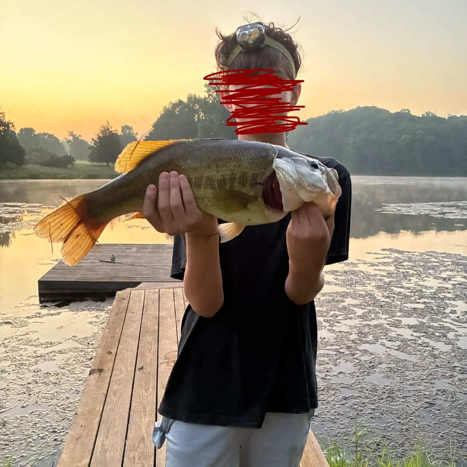 Largemouth bass caught on Fishbrain