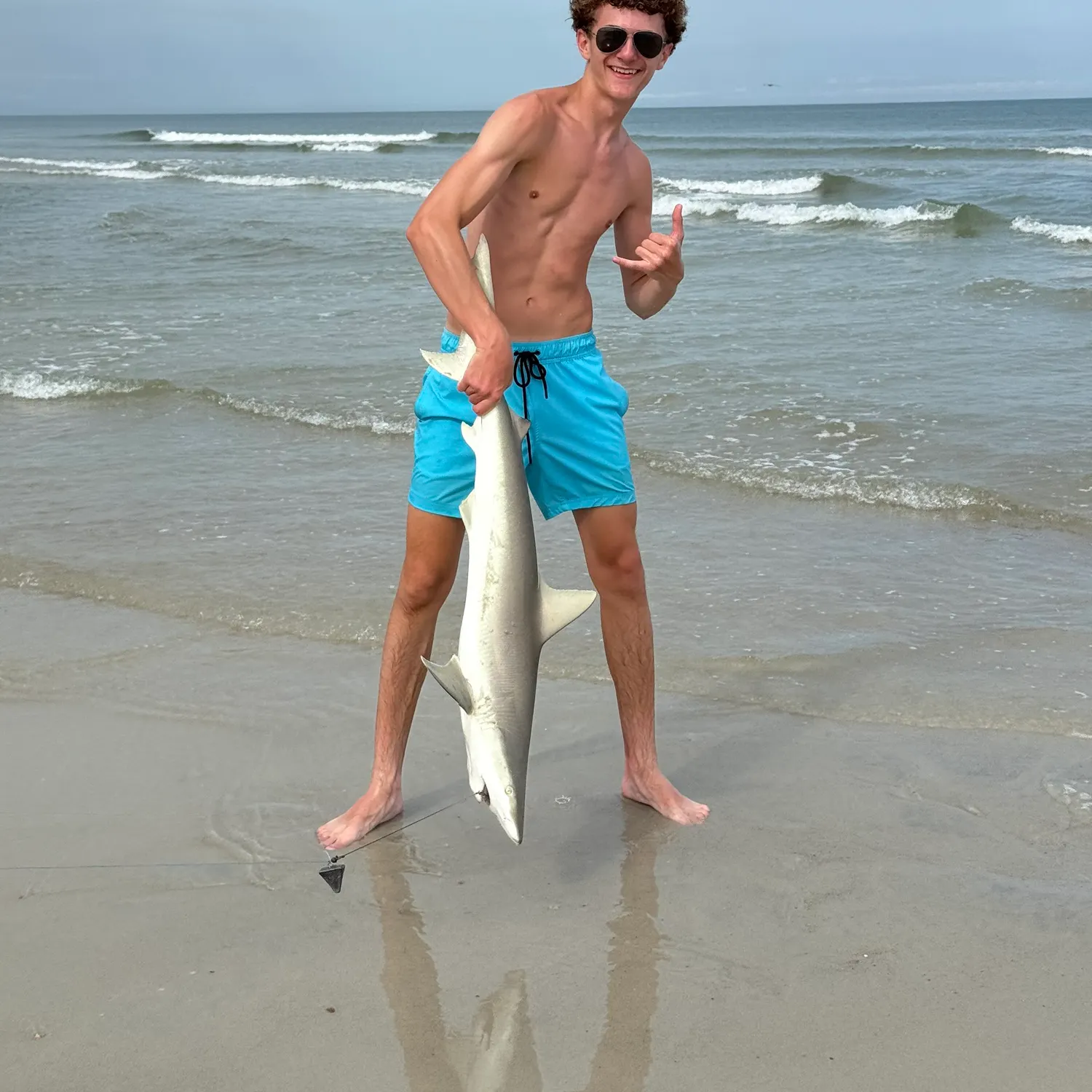 The most recent Blacknose shark catches on Fishbrain