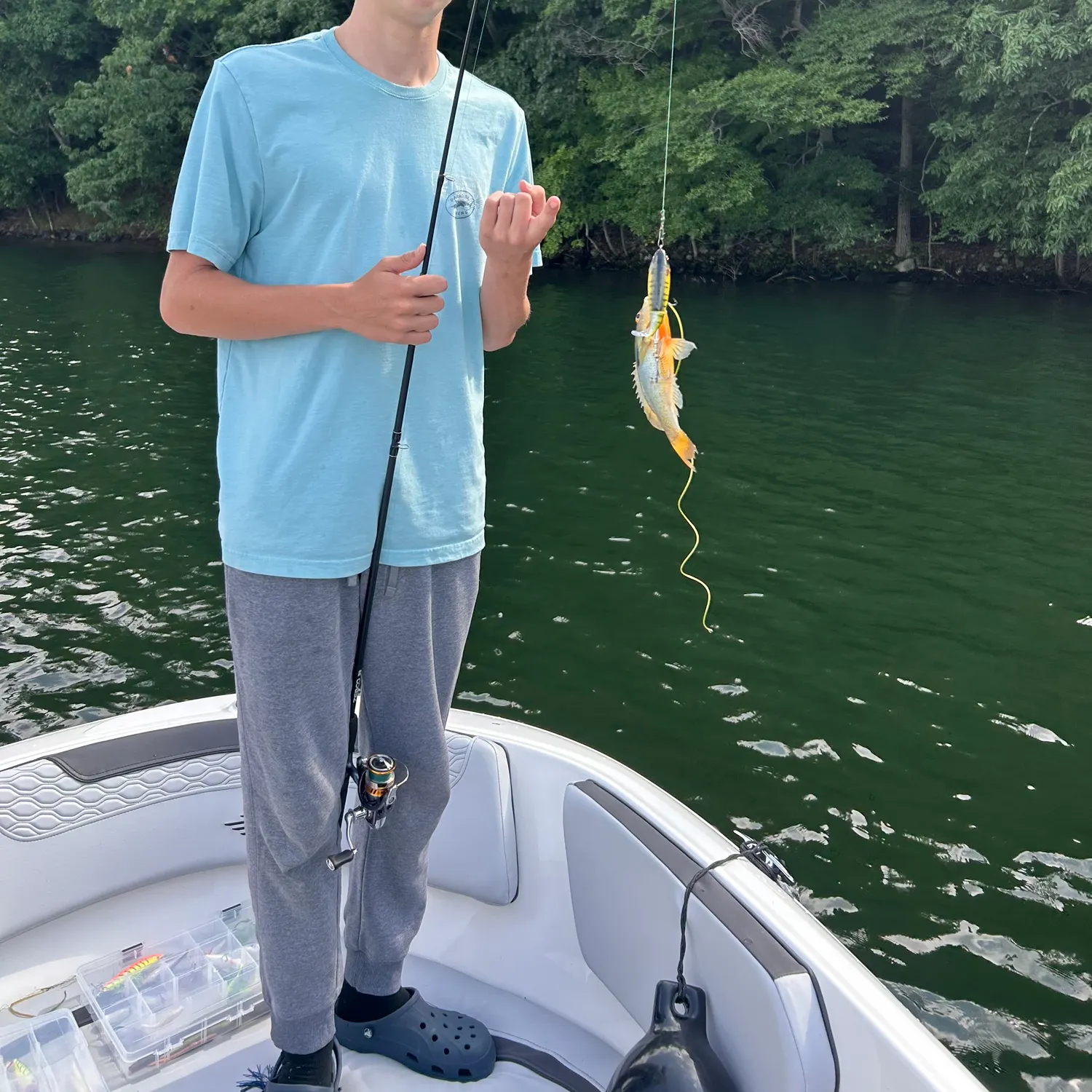 recently logged catches