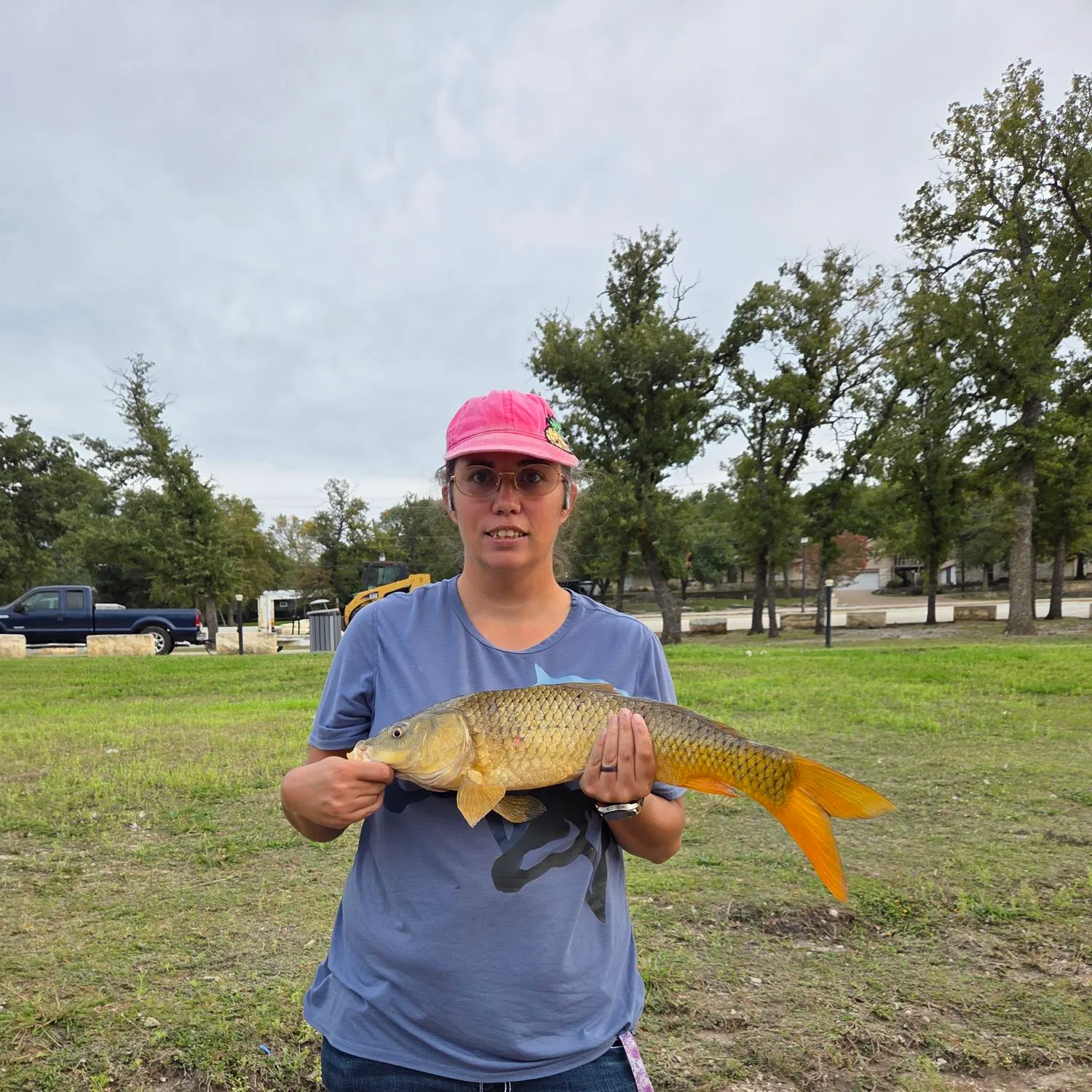 Common carp caught on Fishbrain