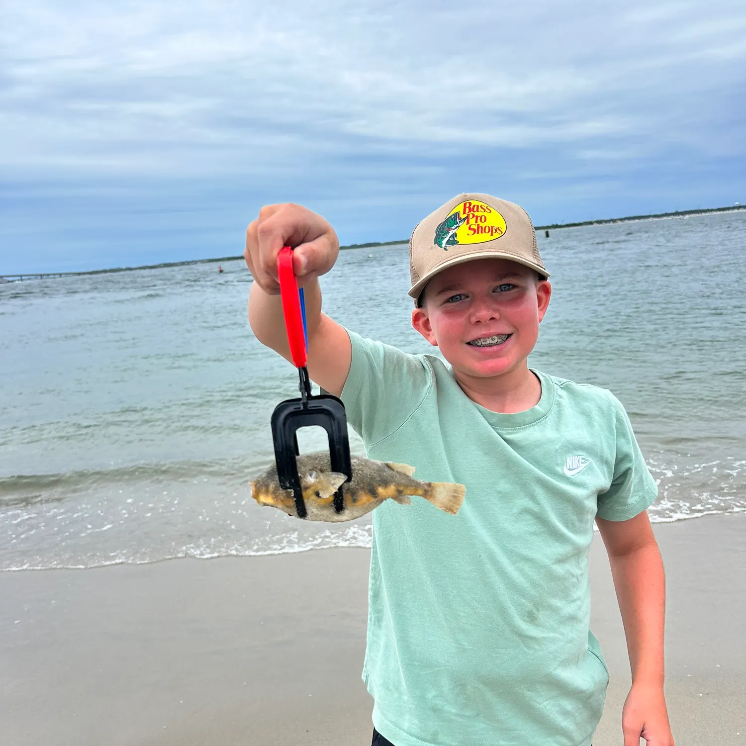 Southern puffer caught on Fishbrain