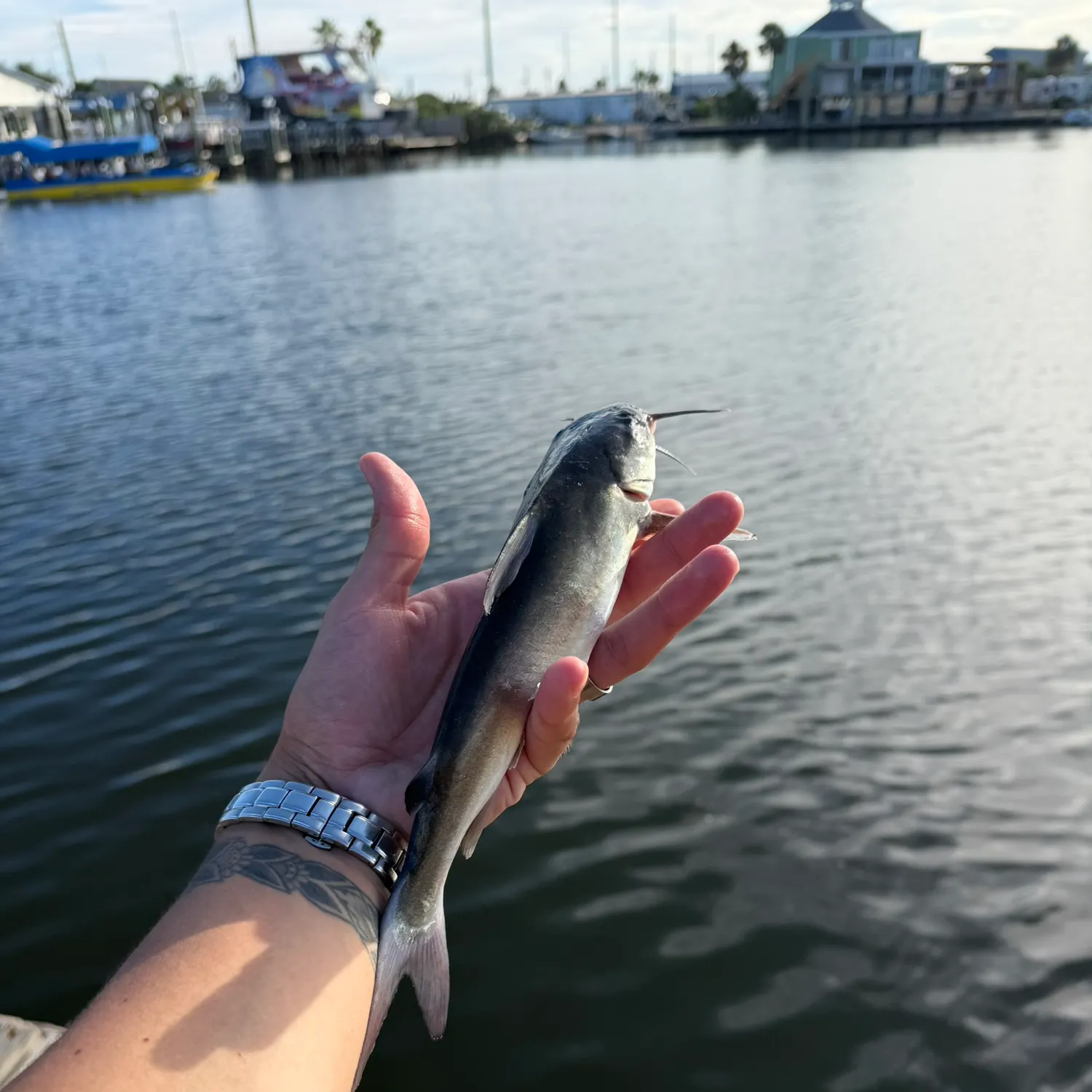 catch