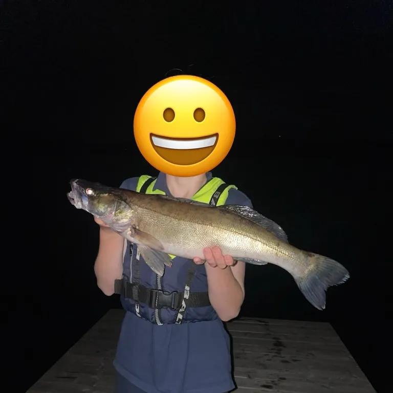 Zander caught on Fishbrain