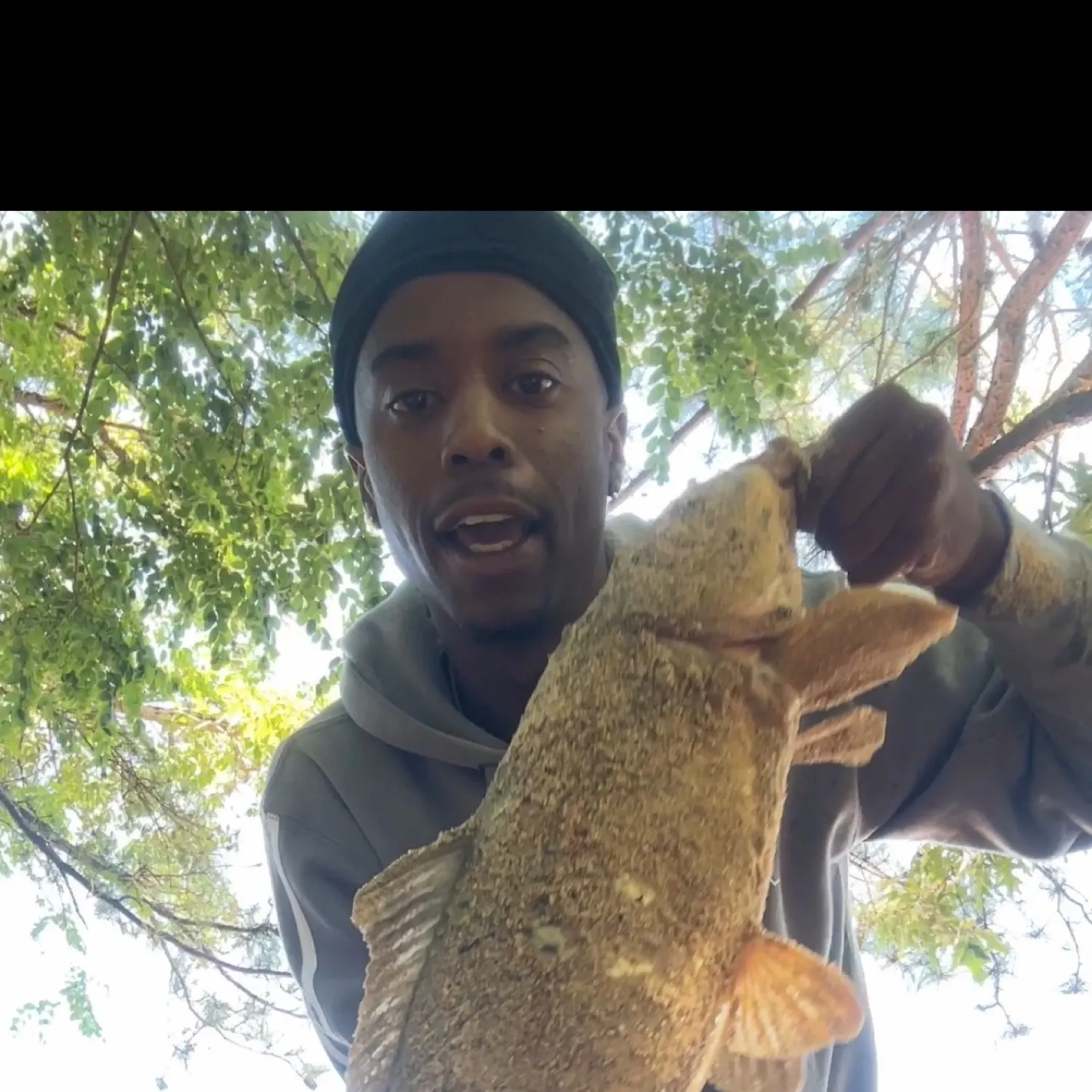 most liked catch image