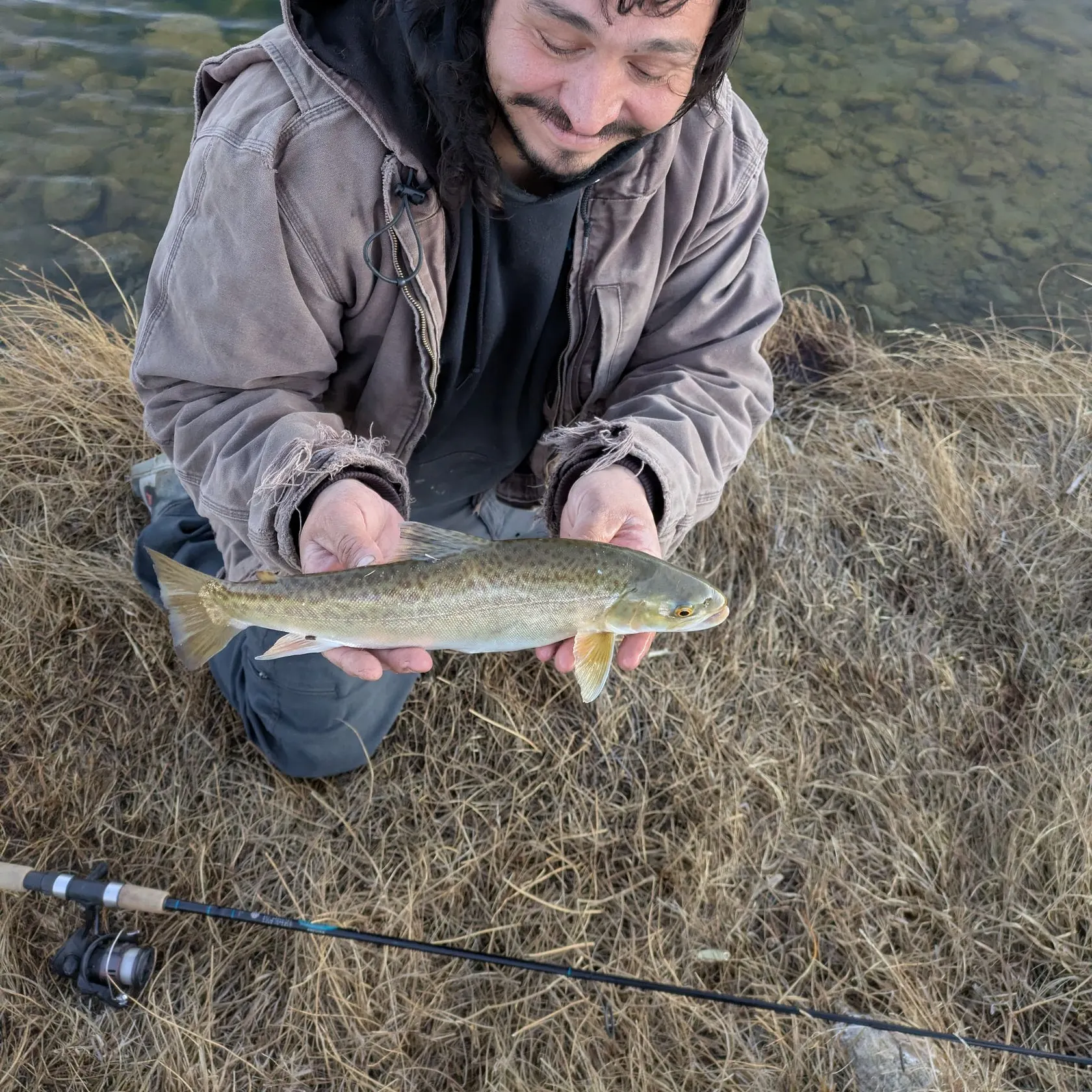The most recent Tiger trout catches on Fishbrain