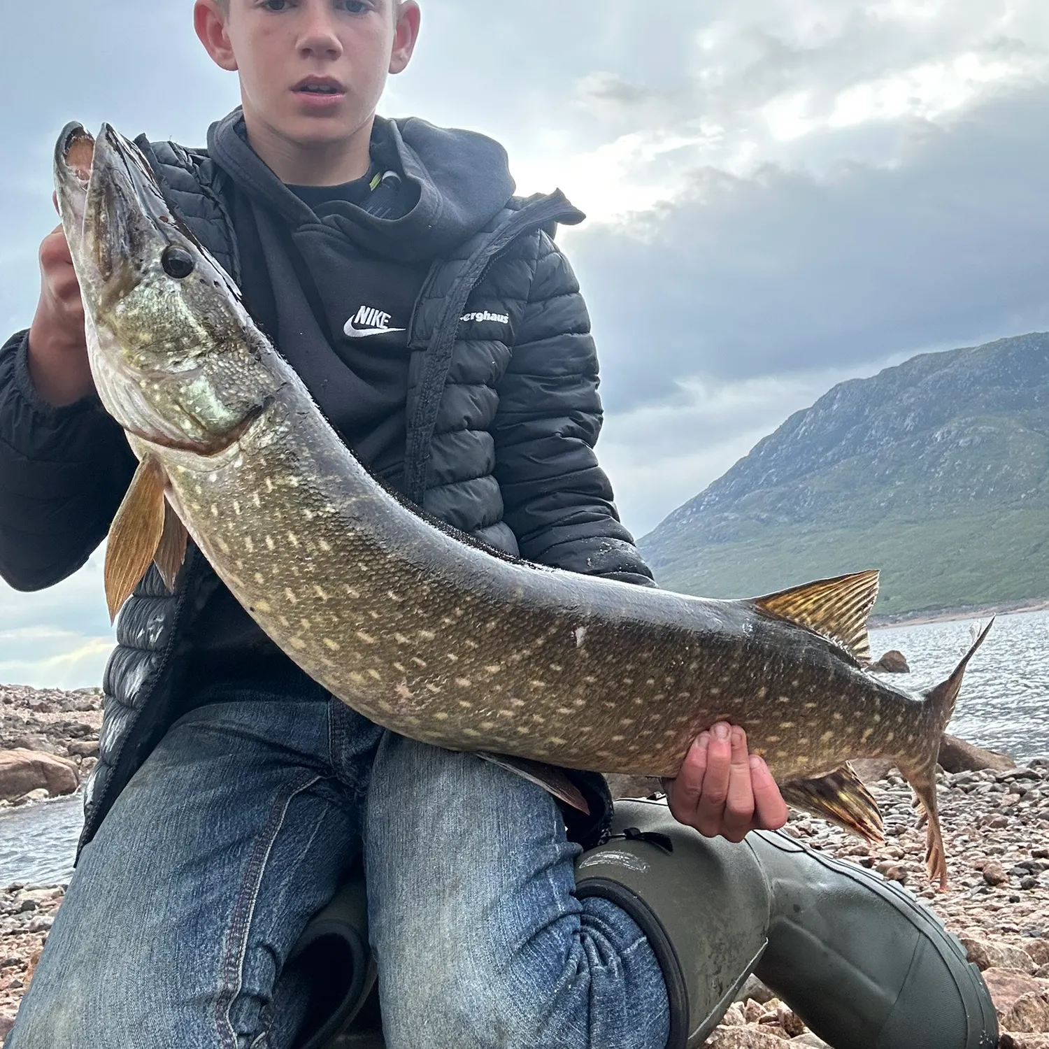 Northern pike caught on Fishbrain