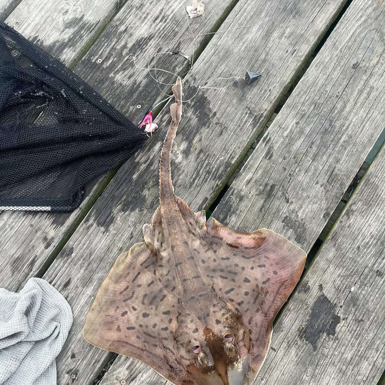 catch