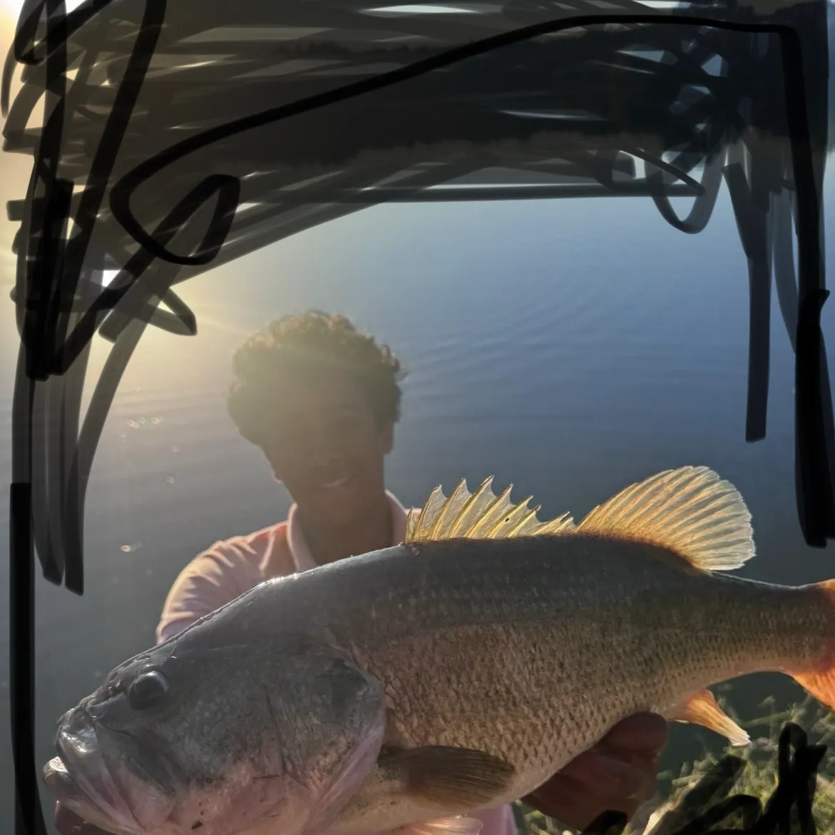 Largemouth bass caught on Fishbrain