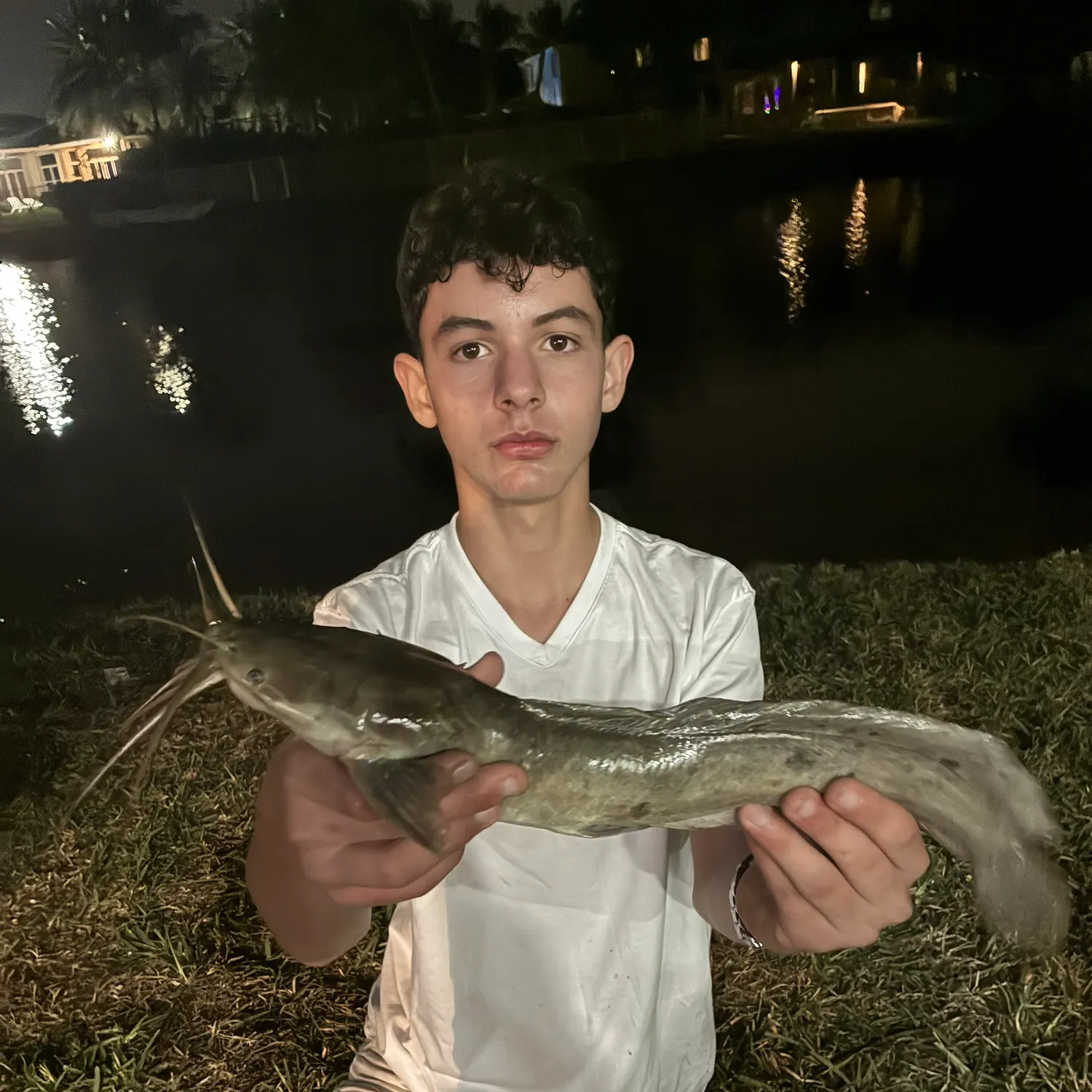 The most recent Walking catfish catches on Fishbrain