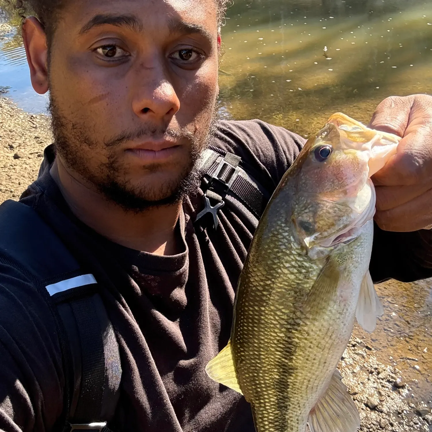 Spotted bass caught on Fishbrain