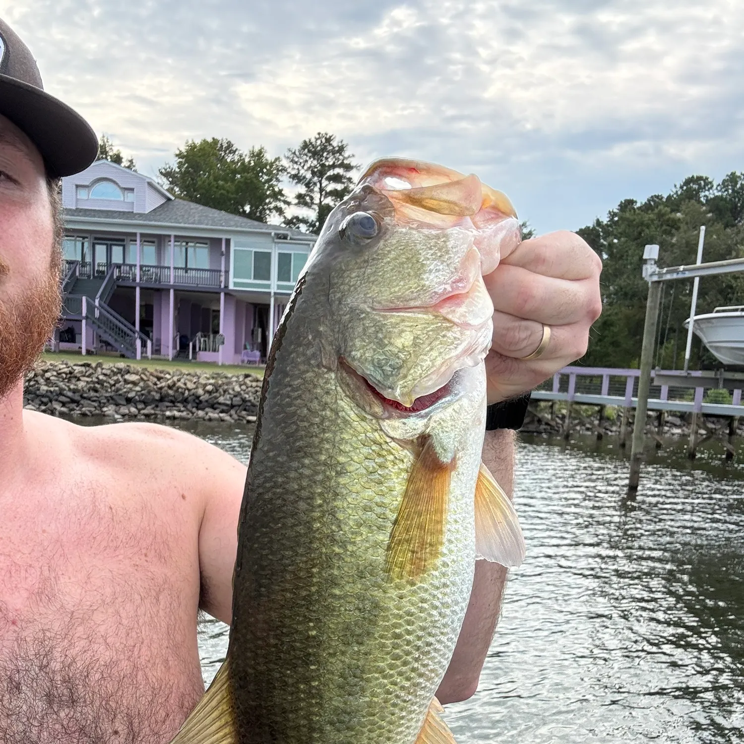 Largemouth bass caught on Fishbrain