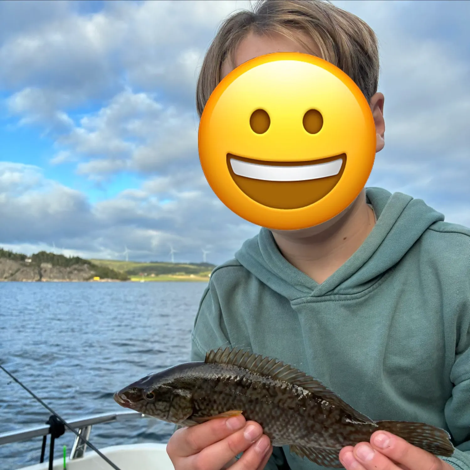 The most recent Ballan wrasse catches on Fishbrain