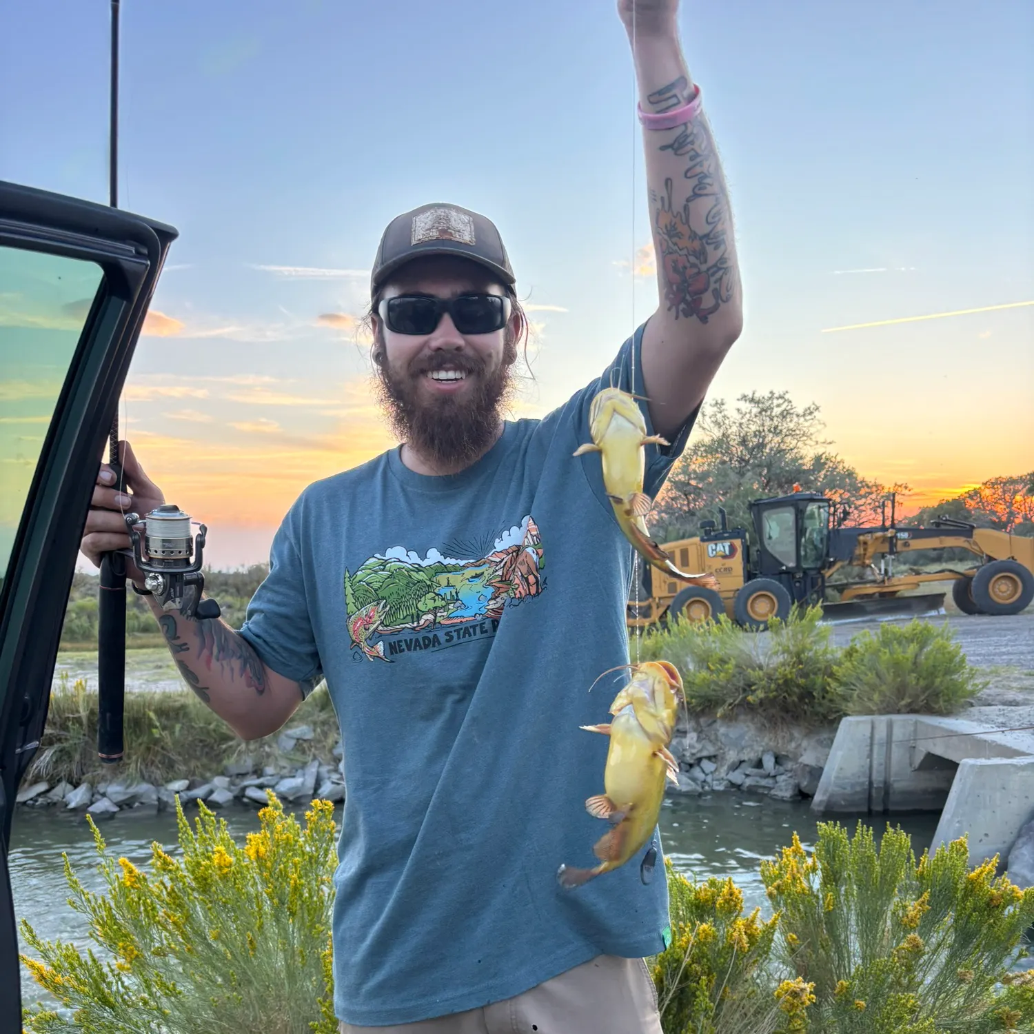Yellow bullhead caught on Fishbrain
