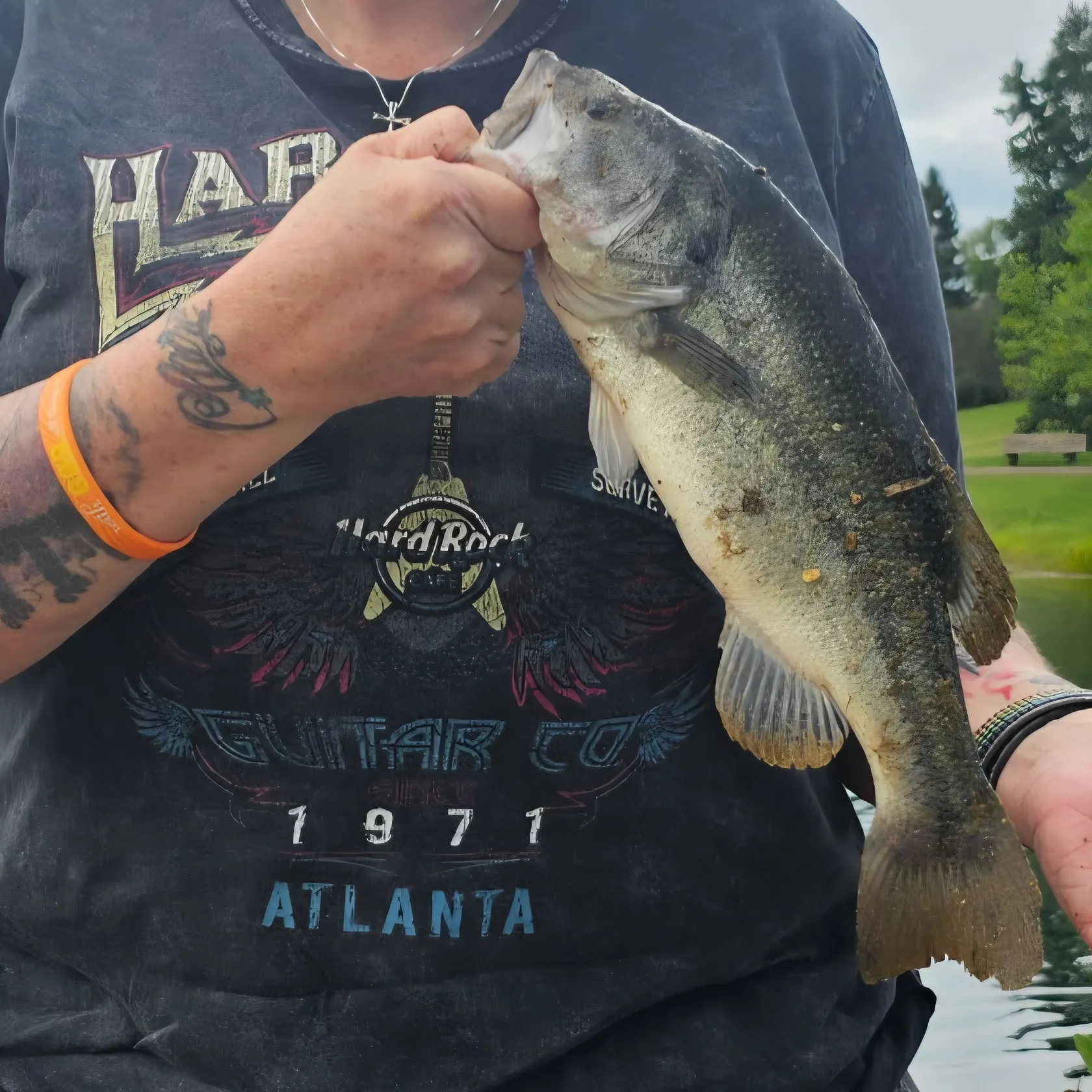 Largemouth bass caught on Fishbrain