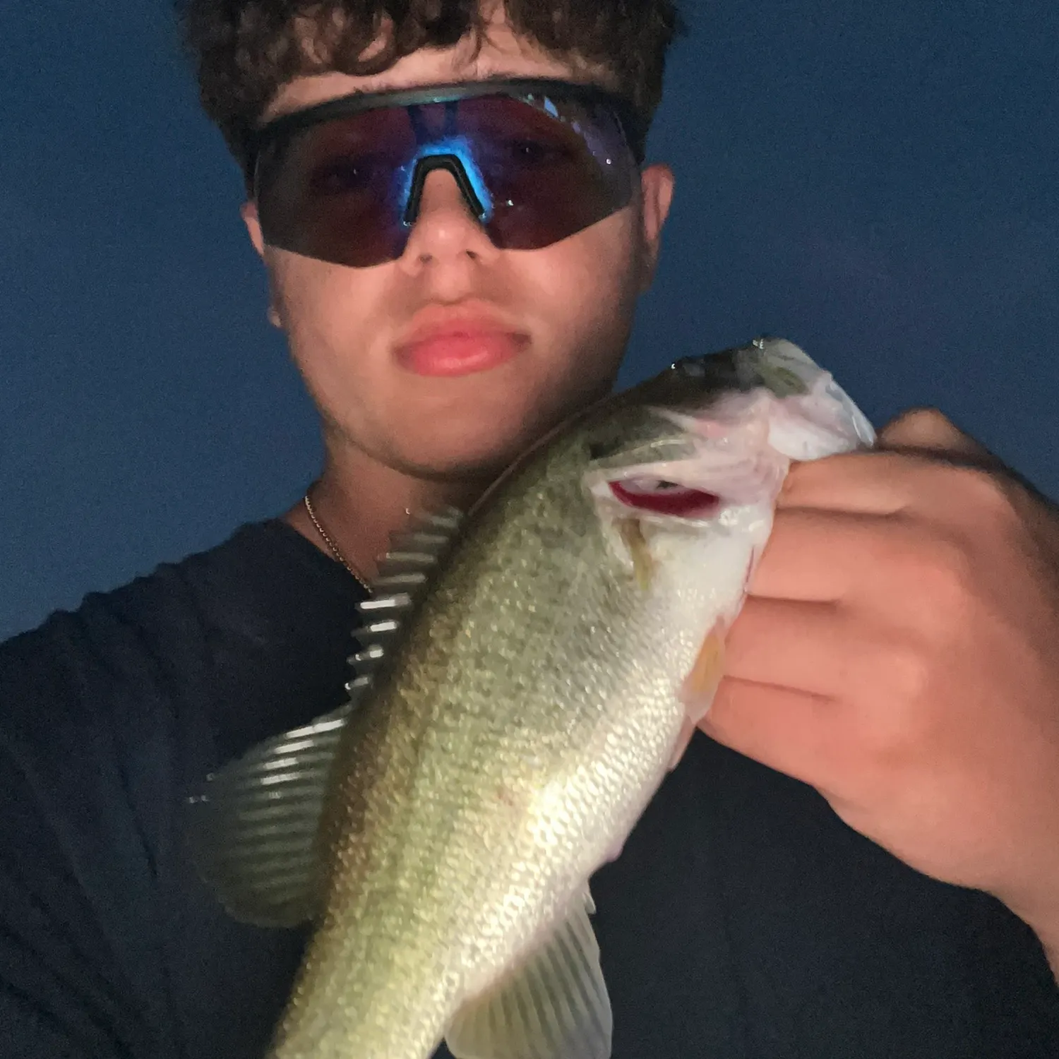 angler catch