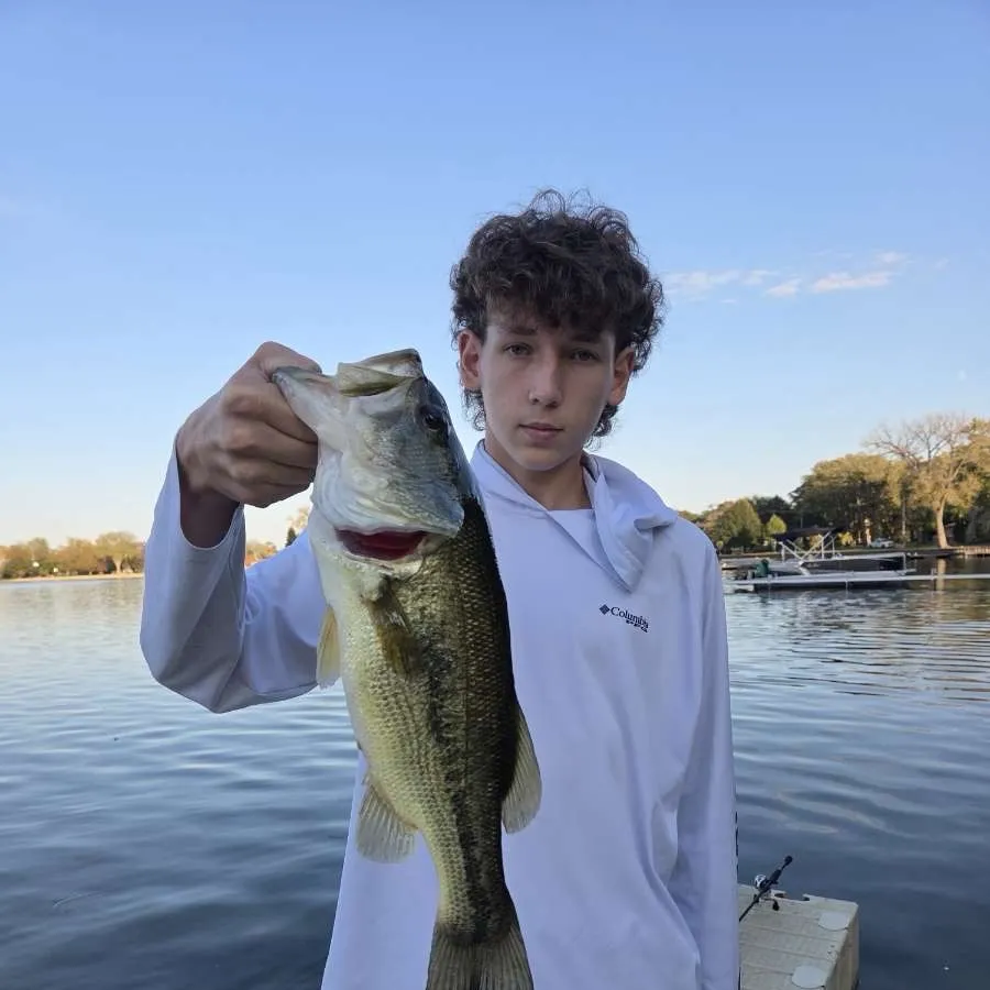 Largemouth bass caught on Fishbrain